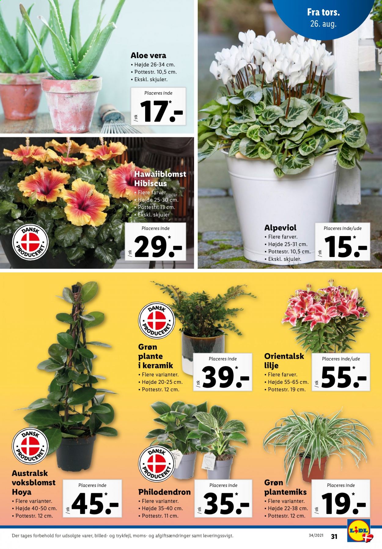 Lidl tilbud - 22.8.2021 - 28.8.2021. Side 33
