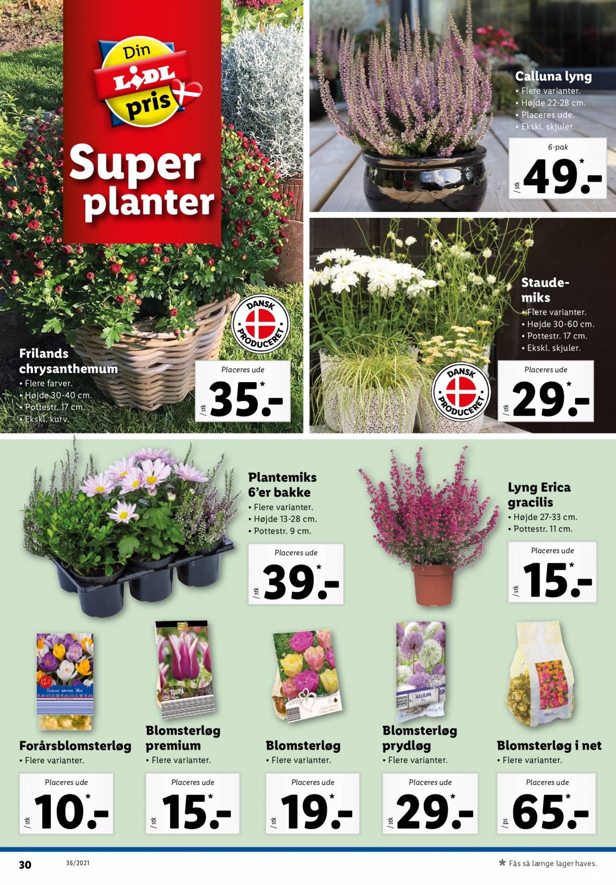 Lidl tilbud - 5.9.2021 - 11.9.2021. Side 30