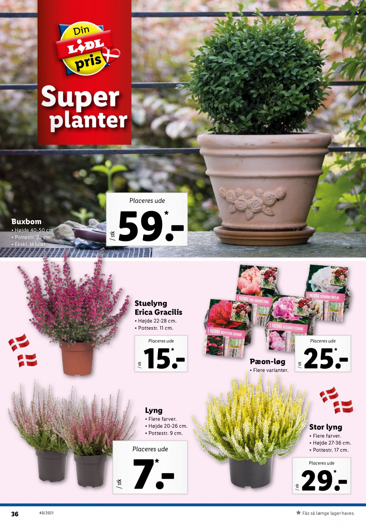 Lidl tilbud - 3.10.2021 - 9.10.2021. Side 36