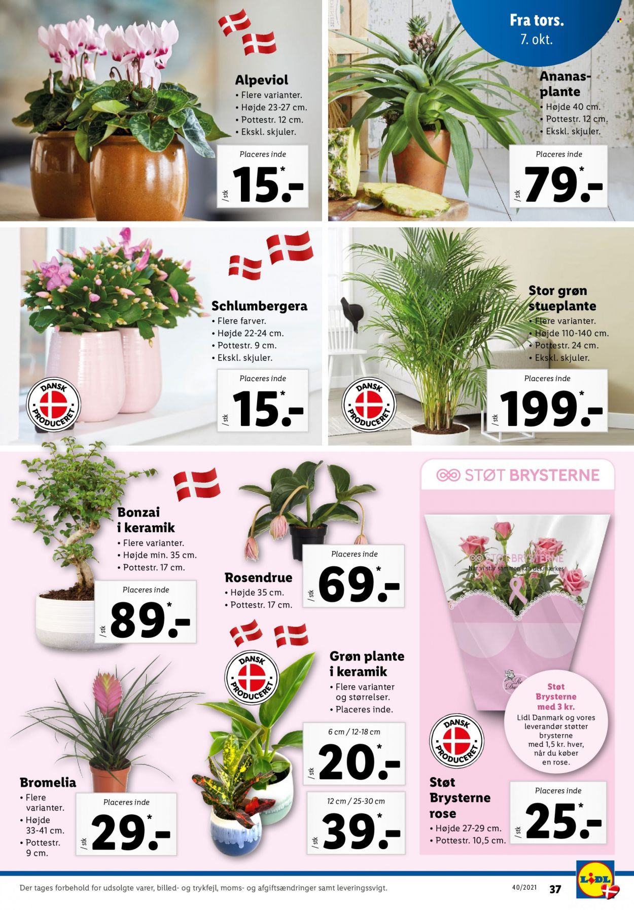 Lidl tilbud - 3.10.2021 - 9.10.2021. Side 37