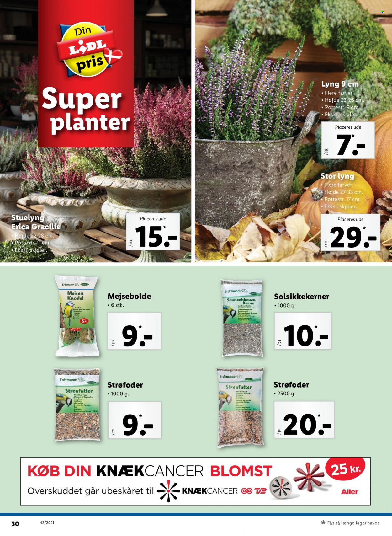 Lidl tilbud - 17.10.2021 - 23.10.2021. Side 38