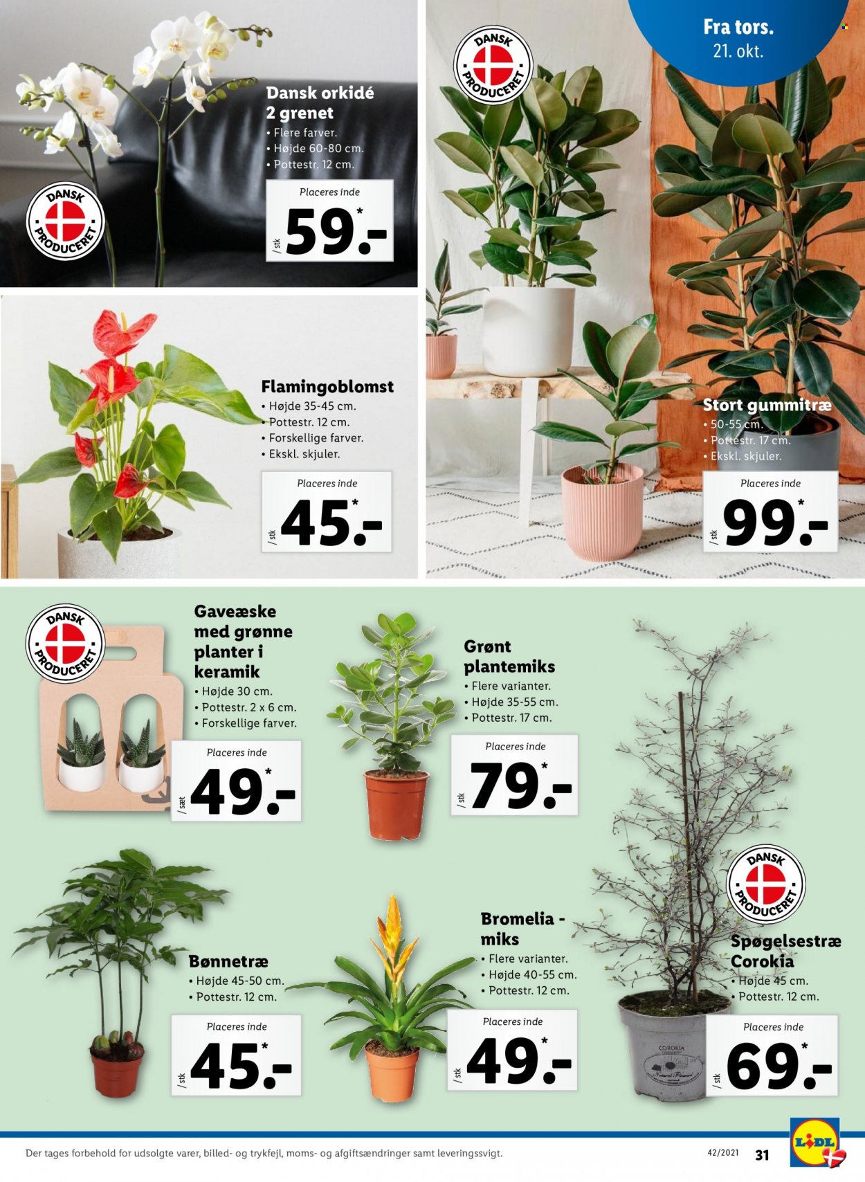 Lidl tilbud - 17.10.2021 - 23.10.2021. Side 39