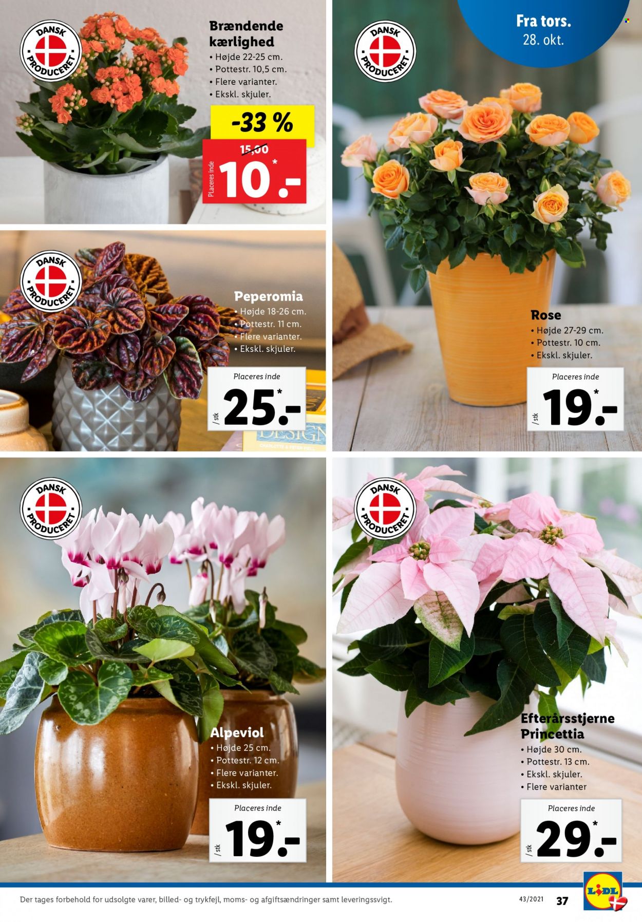 Lidl tilbud - 24.10.2021 - 30.10.2021. Side 37