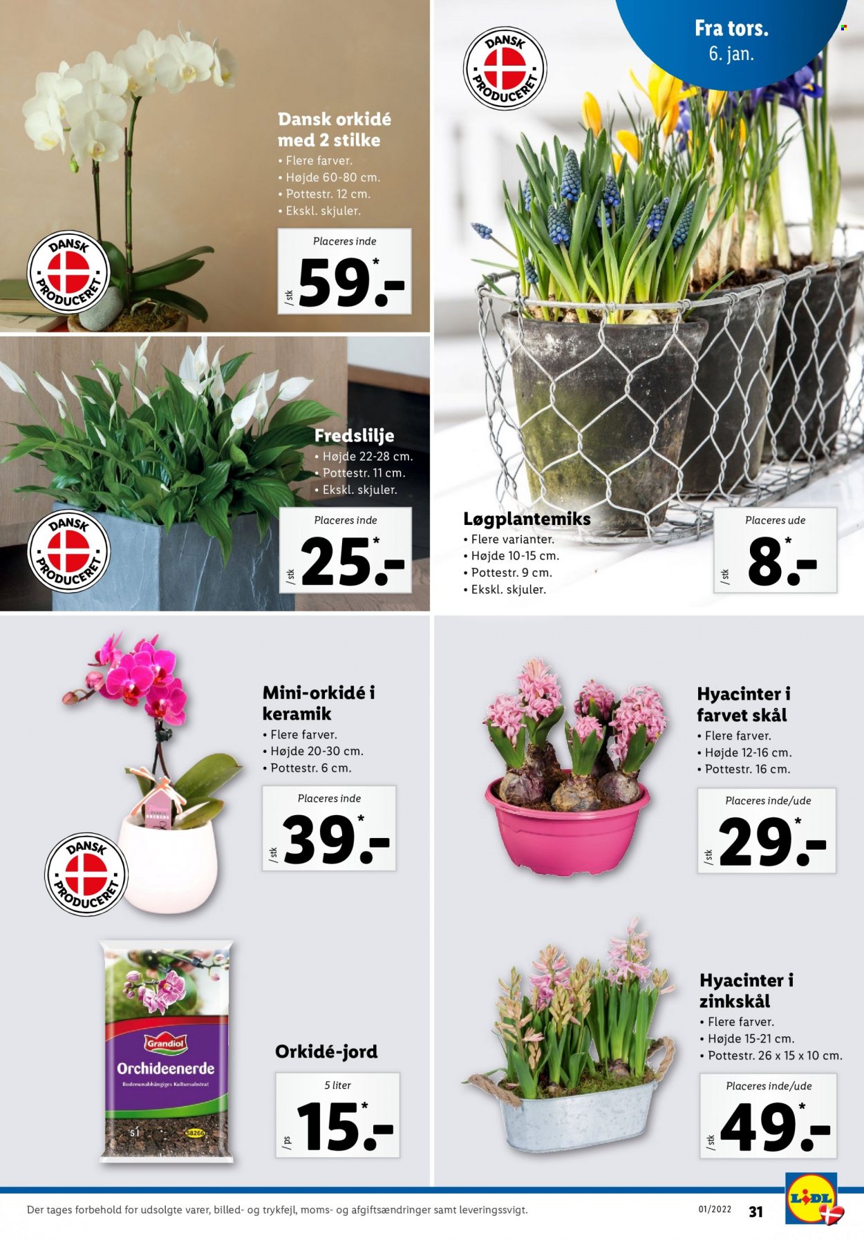 Lidl tilbud - 2.1.2022 - 8.1.2022. Side 31