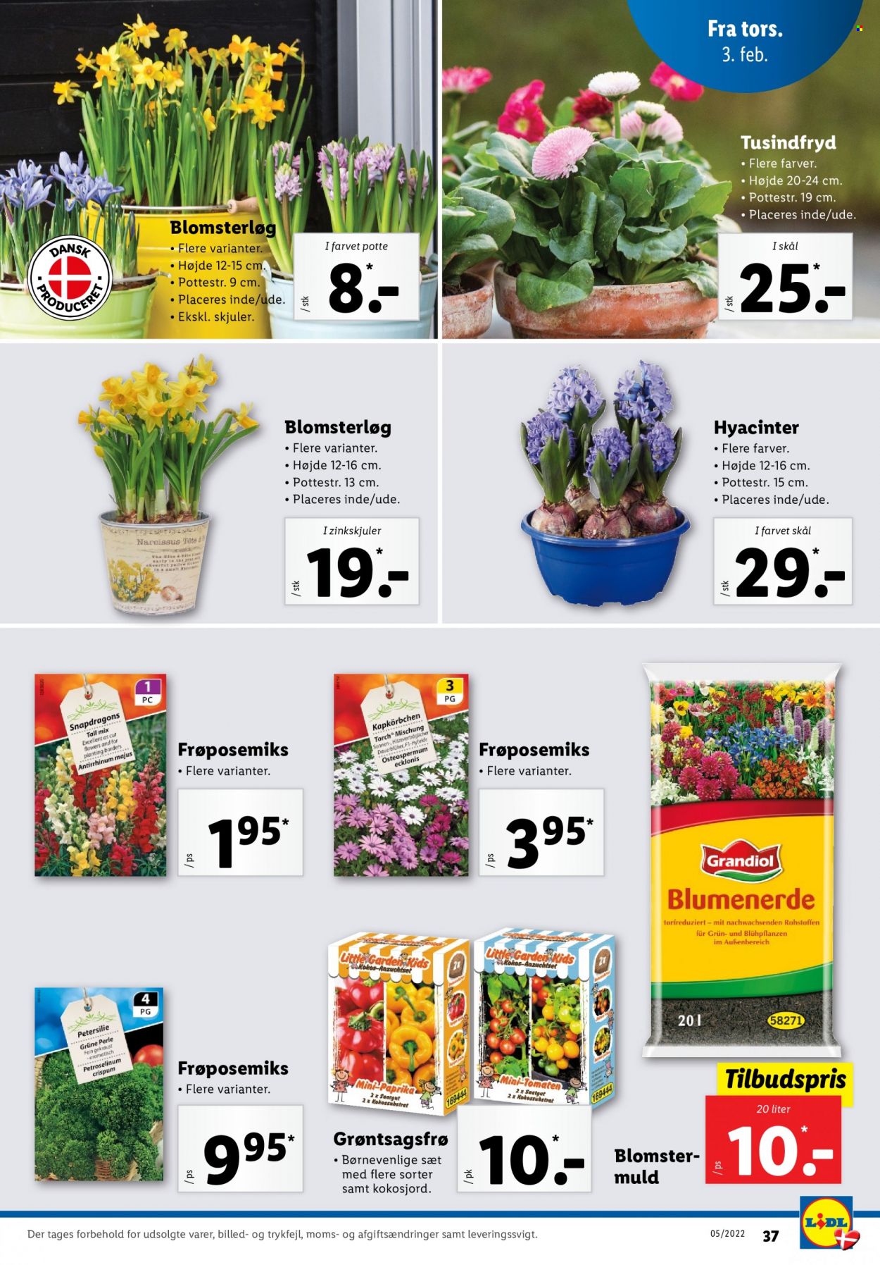 Lidl tilbud - 30.1.2022 - 5.2.2022. Side 37