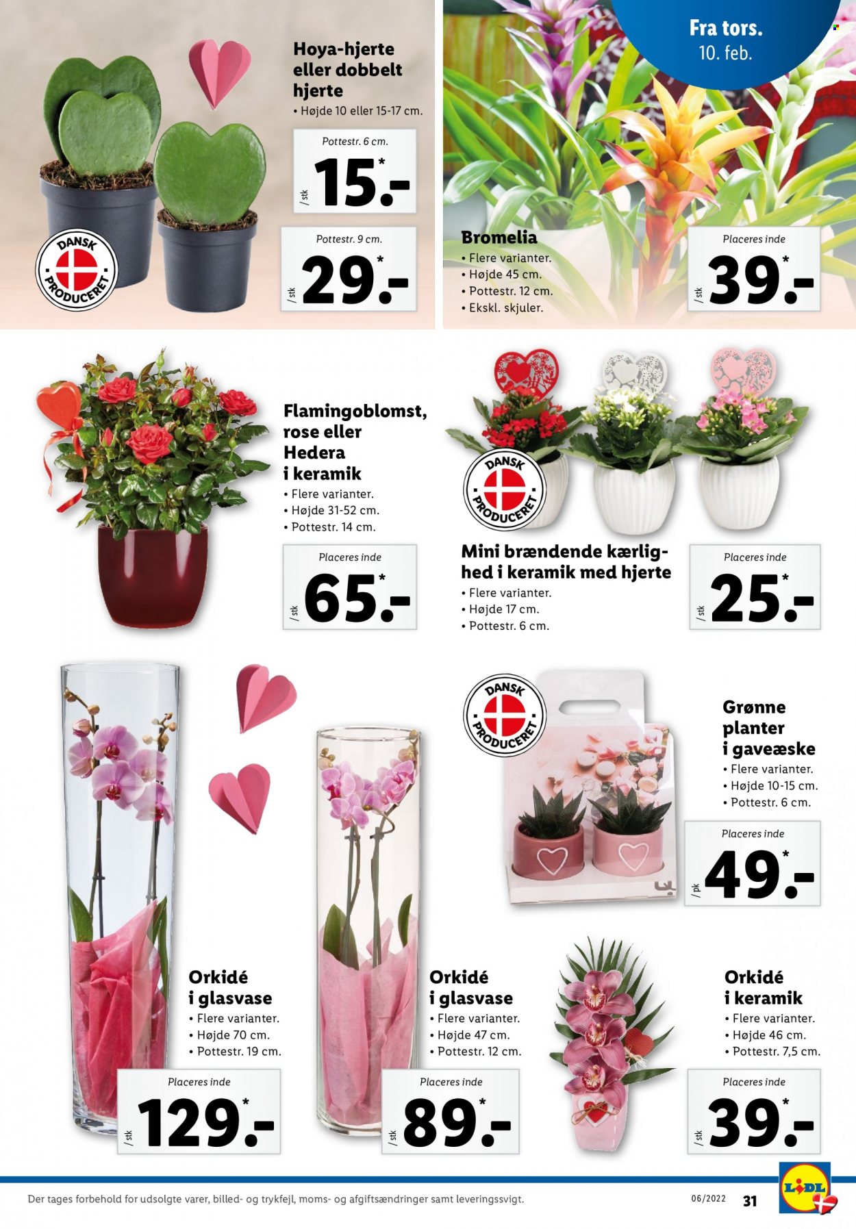 Lidl tilbud - 6.2.2022 - 12.2.2022. Side 31
