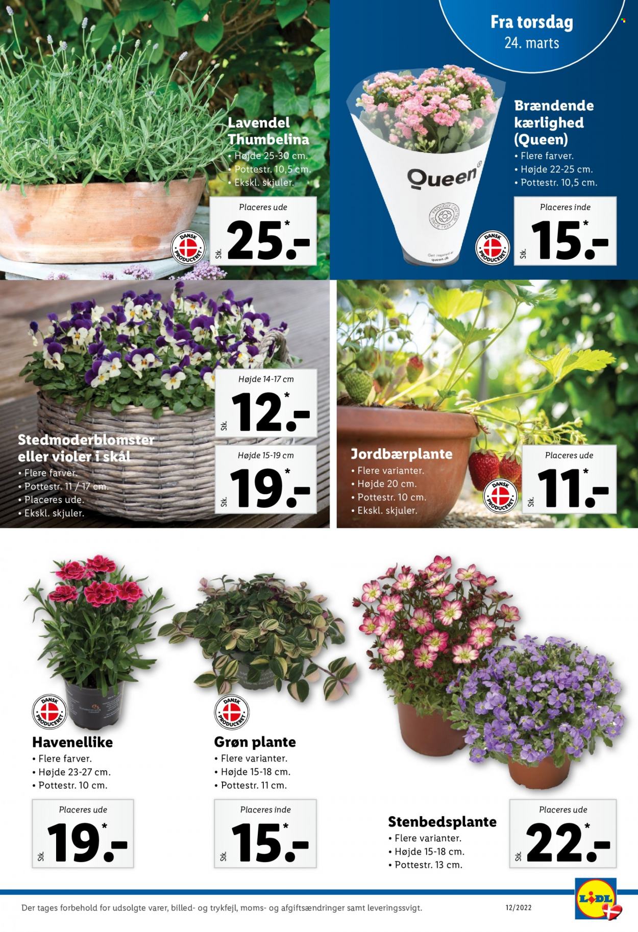 Lidl tilbud - 20.3.2022 - 26.3.2022. Side 31