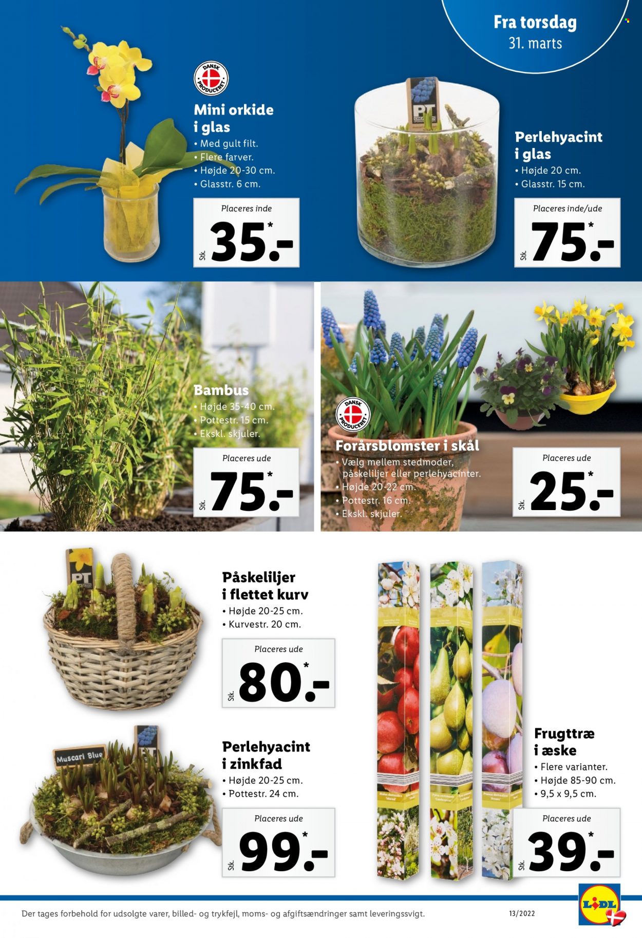 Lidl tilbud - 27.3.2022 - 2.4.2022. Side 33
