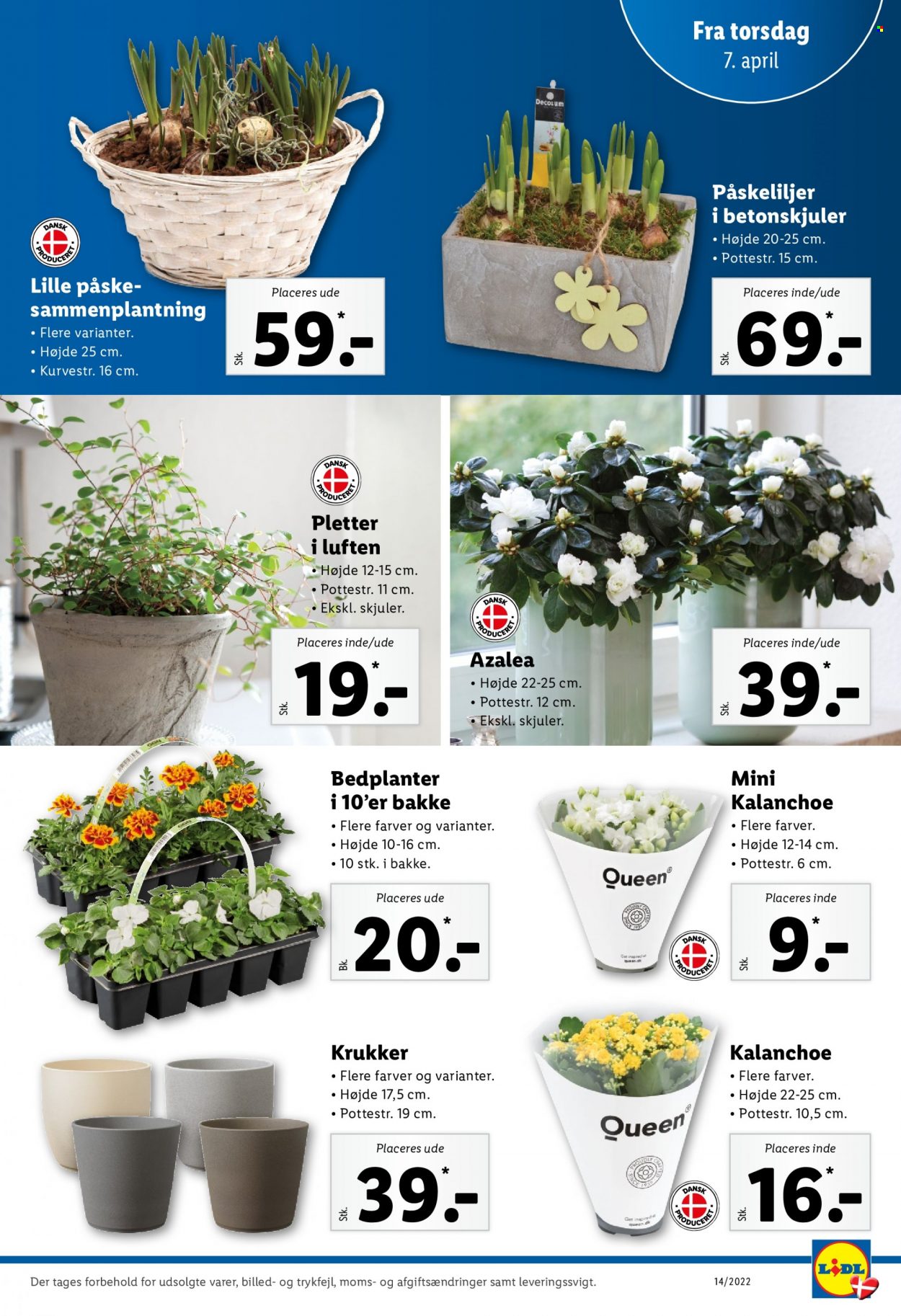 Lidl tilbud - 3.4.2022 - 9.4.2022. Side 31