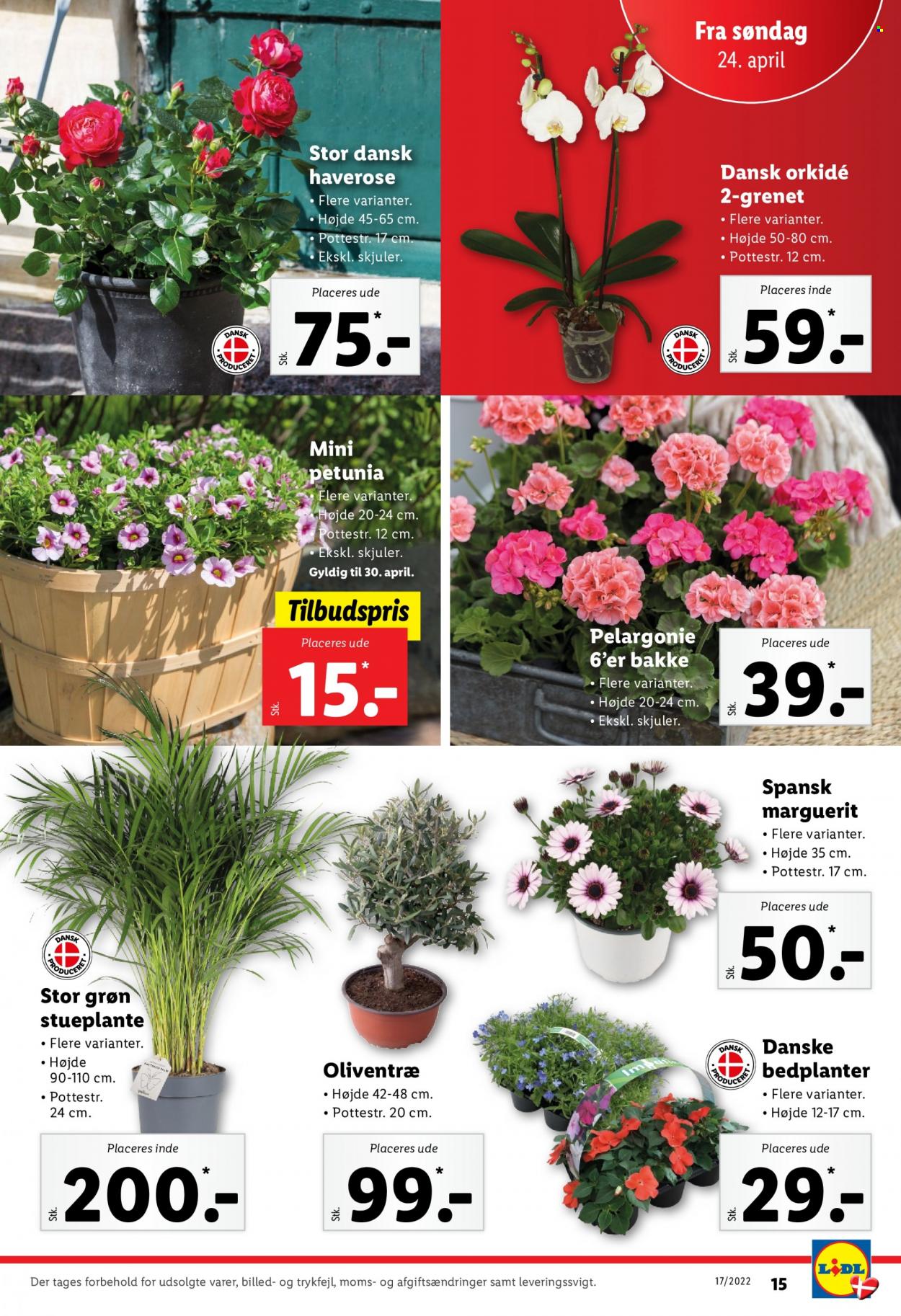 Lidl tilbud - 24.4.2022 - 30.4.2022. Side 15