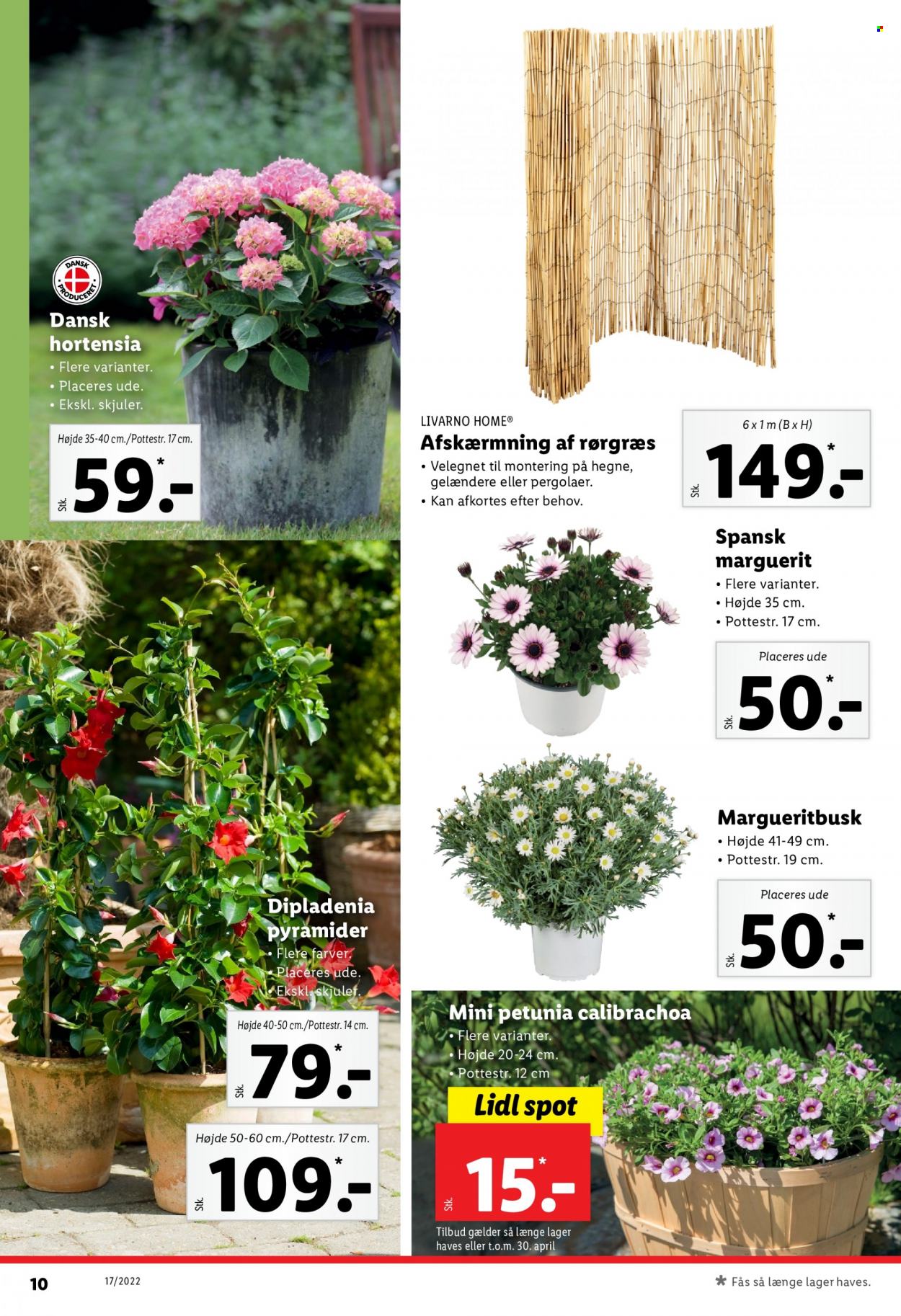 Lidl tilbud - 24.4.2022 - 30.4.2022. Side 10