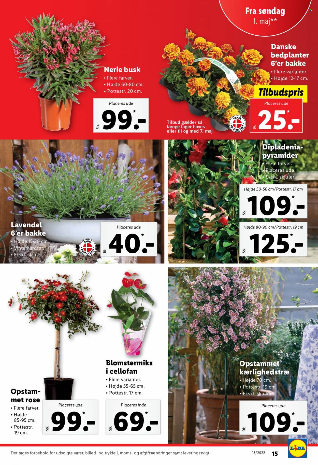 Lidl tilbud - 1.5.2022 - 7.5.2022. Side 17