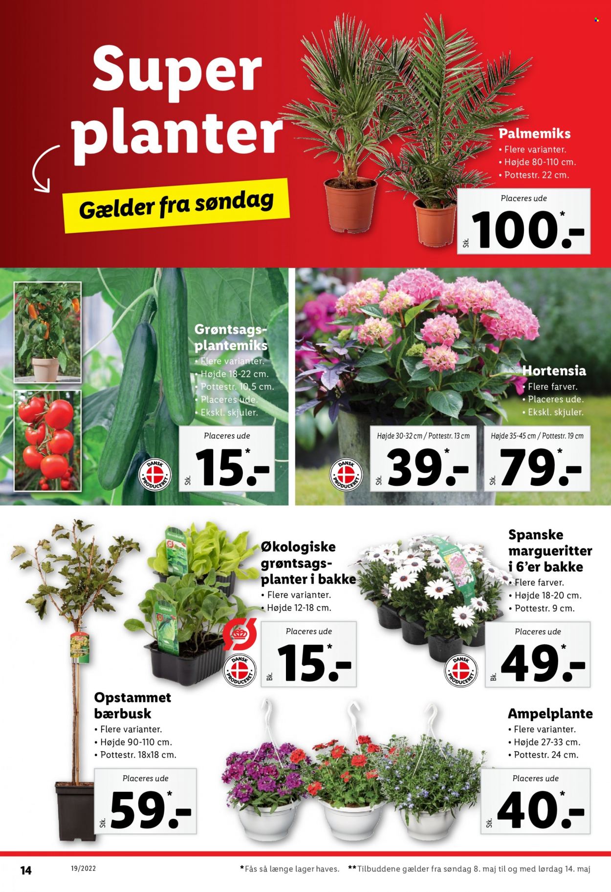 Lidl tilbud - 8.5.2022 - 14.5.2022. Side 14