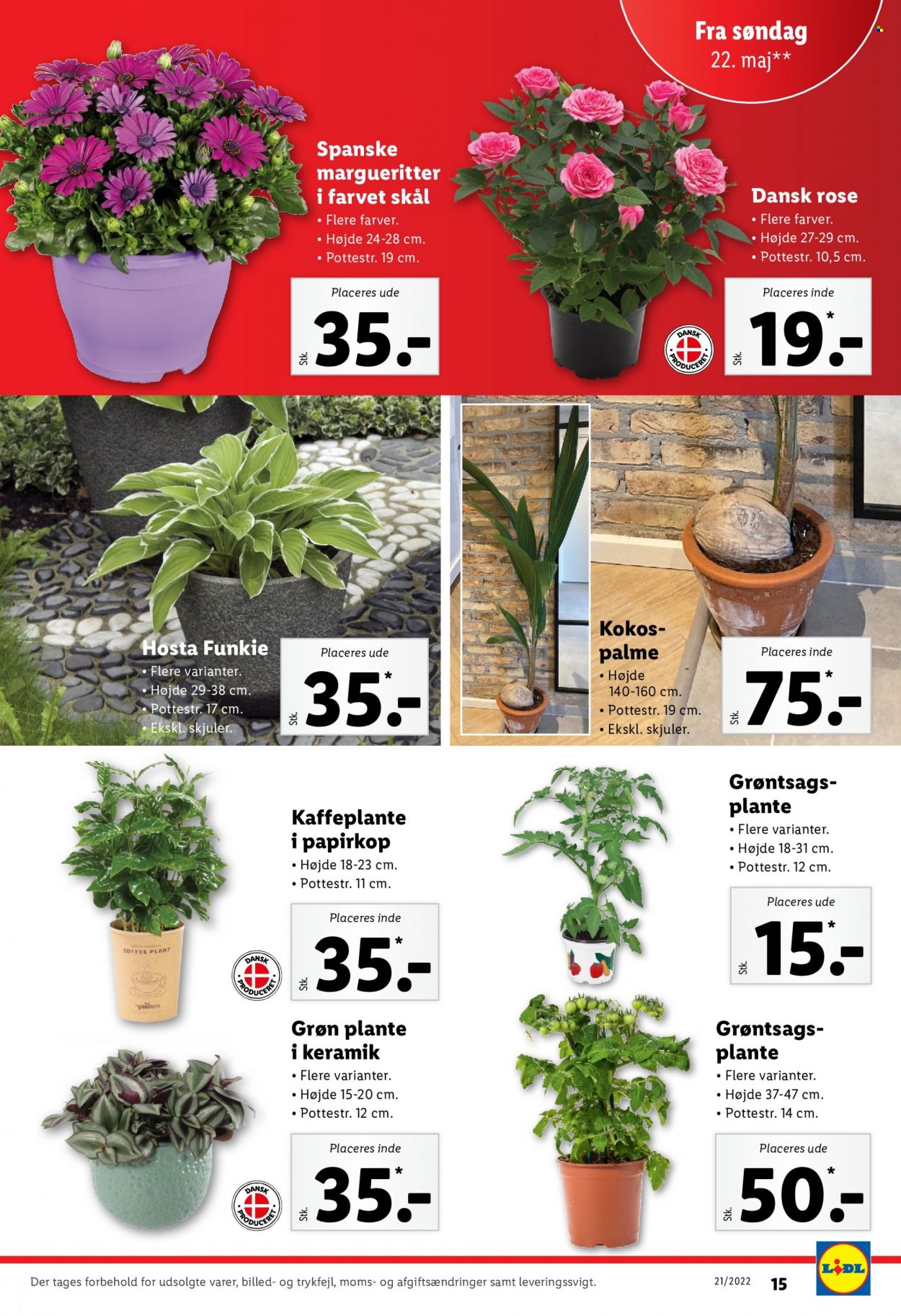 Lidl tilbud - 22.5.2022 - 28.5.2022. Side 15