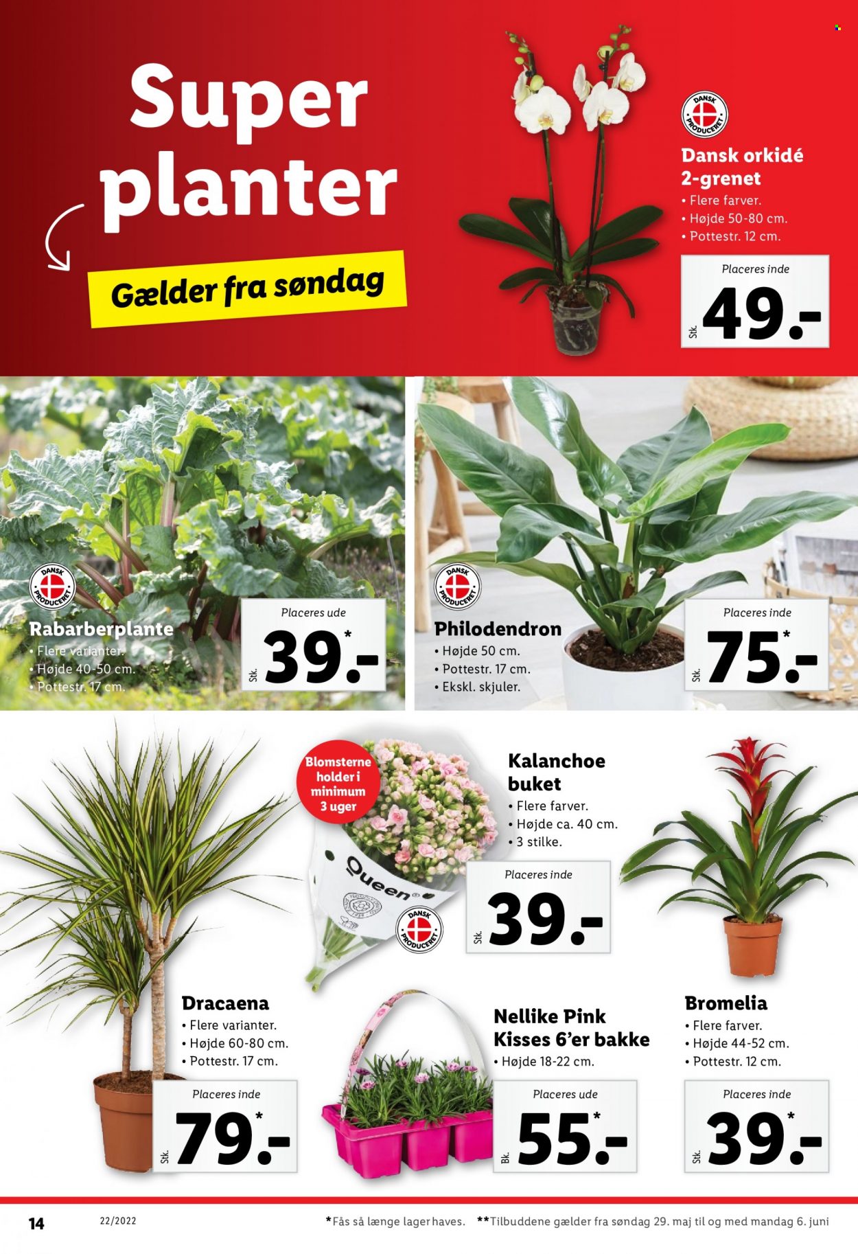 Lidl tilbud - 29.5.2022 - 6.6.2022. Side 18