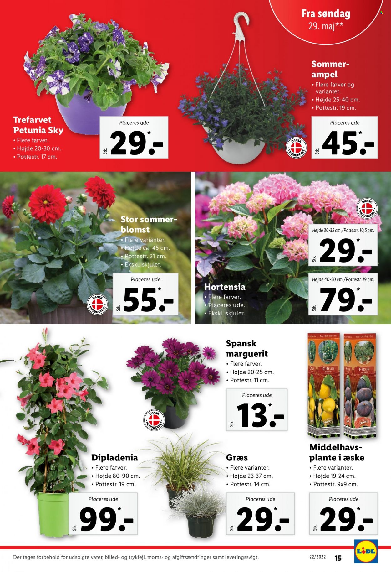 Lidl tilbud - 29.5.2022 - 6.6.2022. Side 19