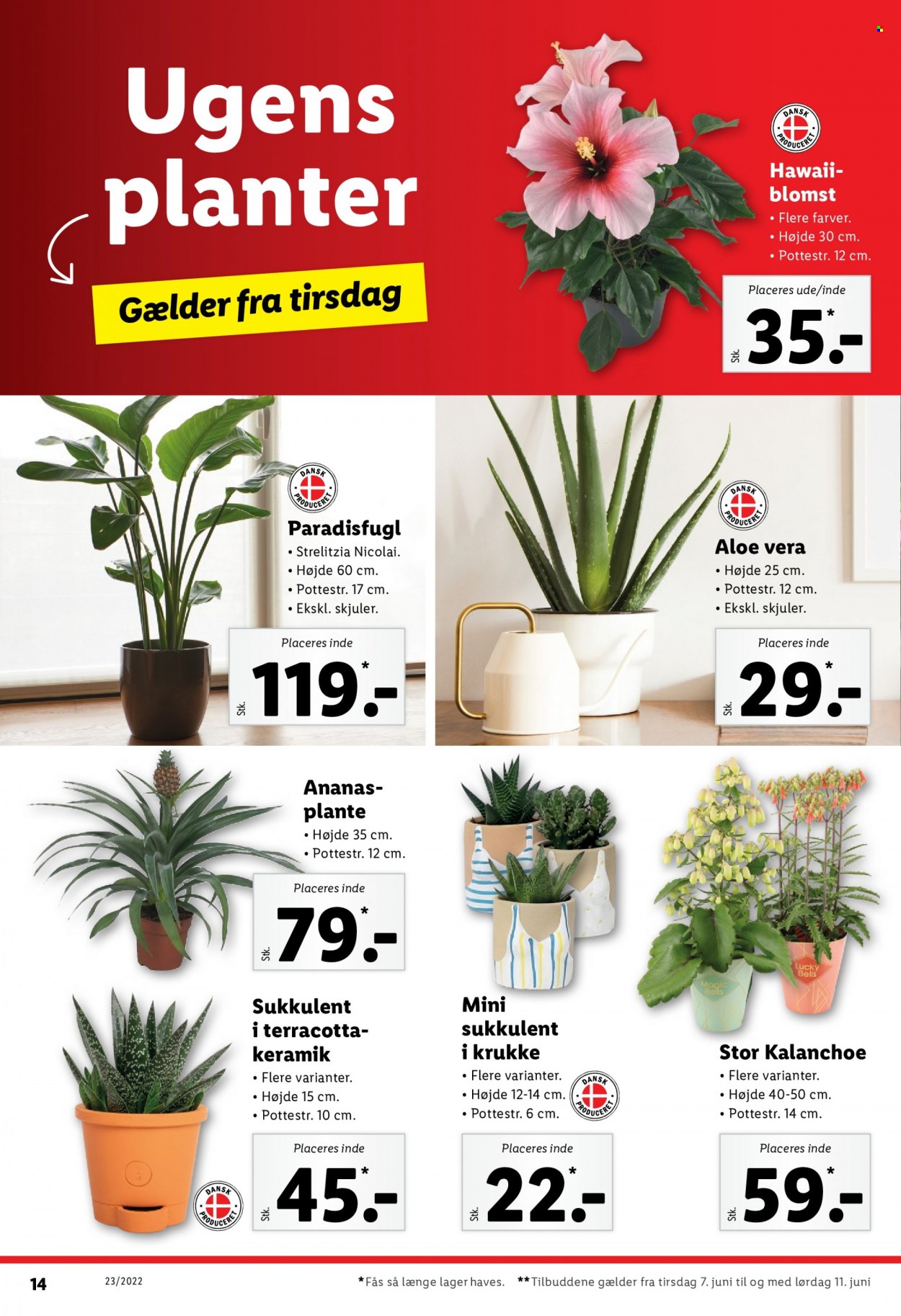 Lidl tilbud - 7.6.2022 - 11.6.2022. Side 14