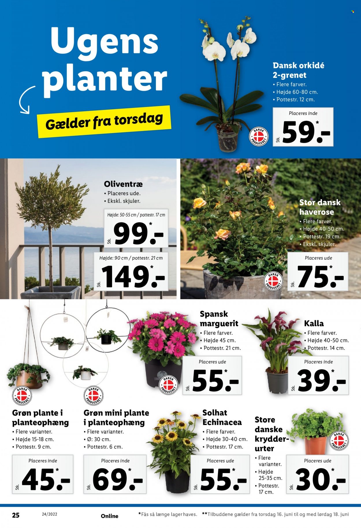 Lidl tilbud - 12.6.2022 - 18.6.2022. Side 30