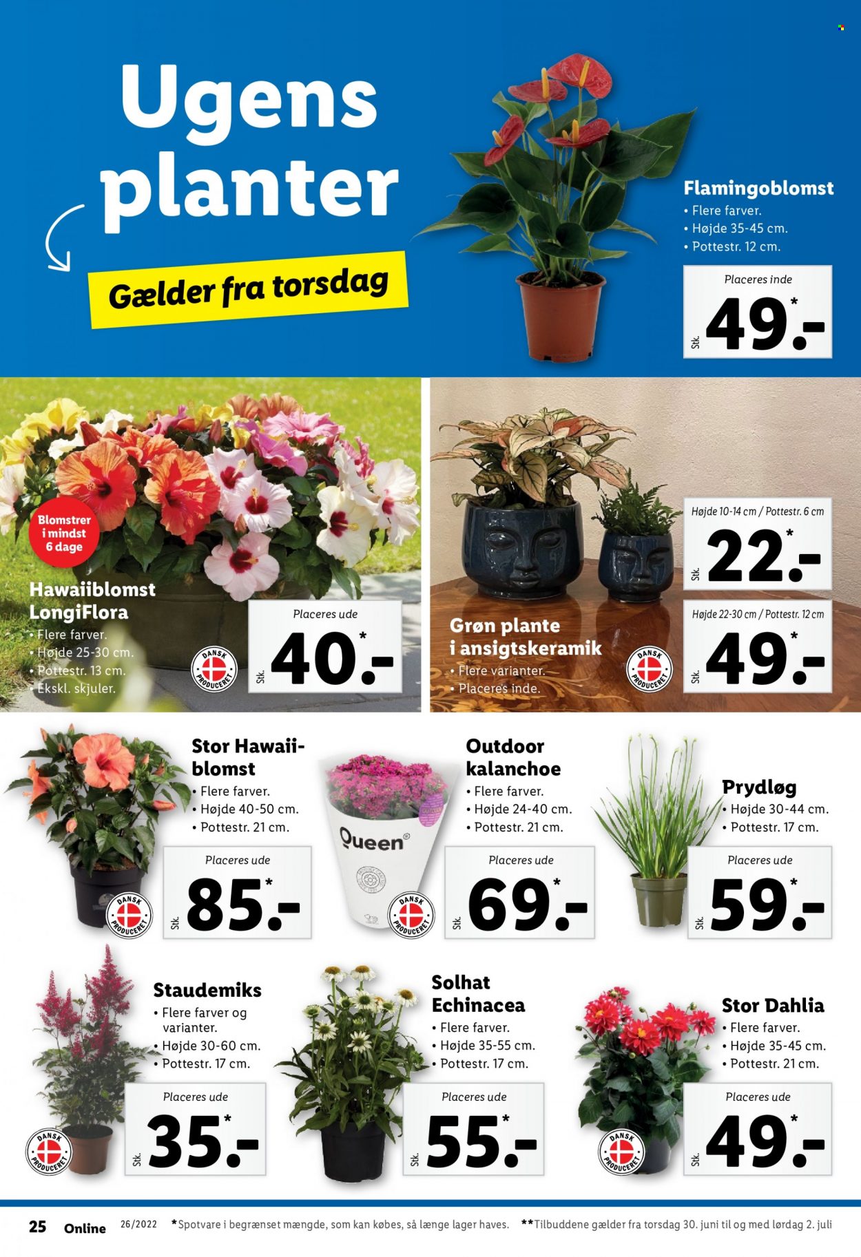 Lidl tilbud - 26.6.2022 - 2.7.2022. Side 32