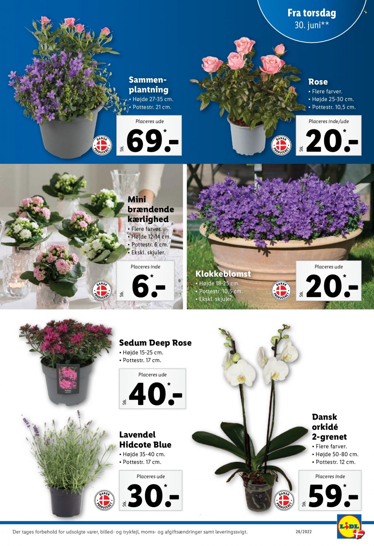Lidl tilbud - 26.6.2022 - 2.7.2022. Side 33