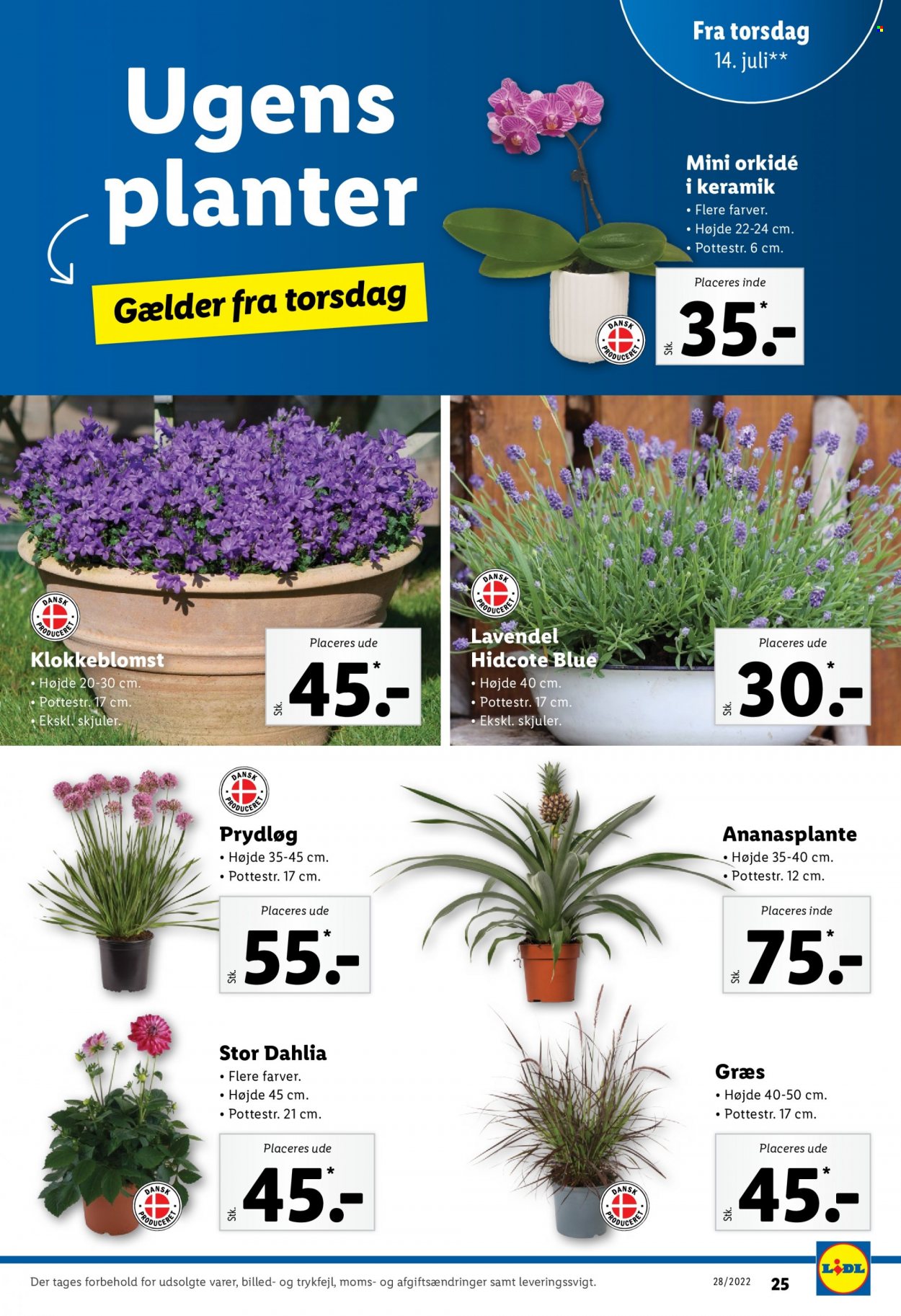 Lidl tilbud - 10.7.2022 - 16.7.2022. Side 31