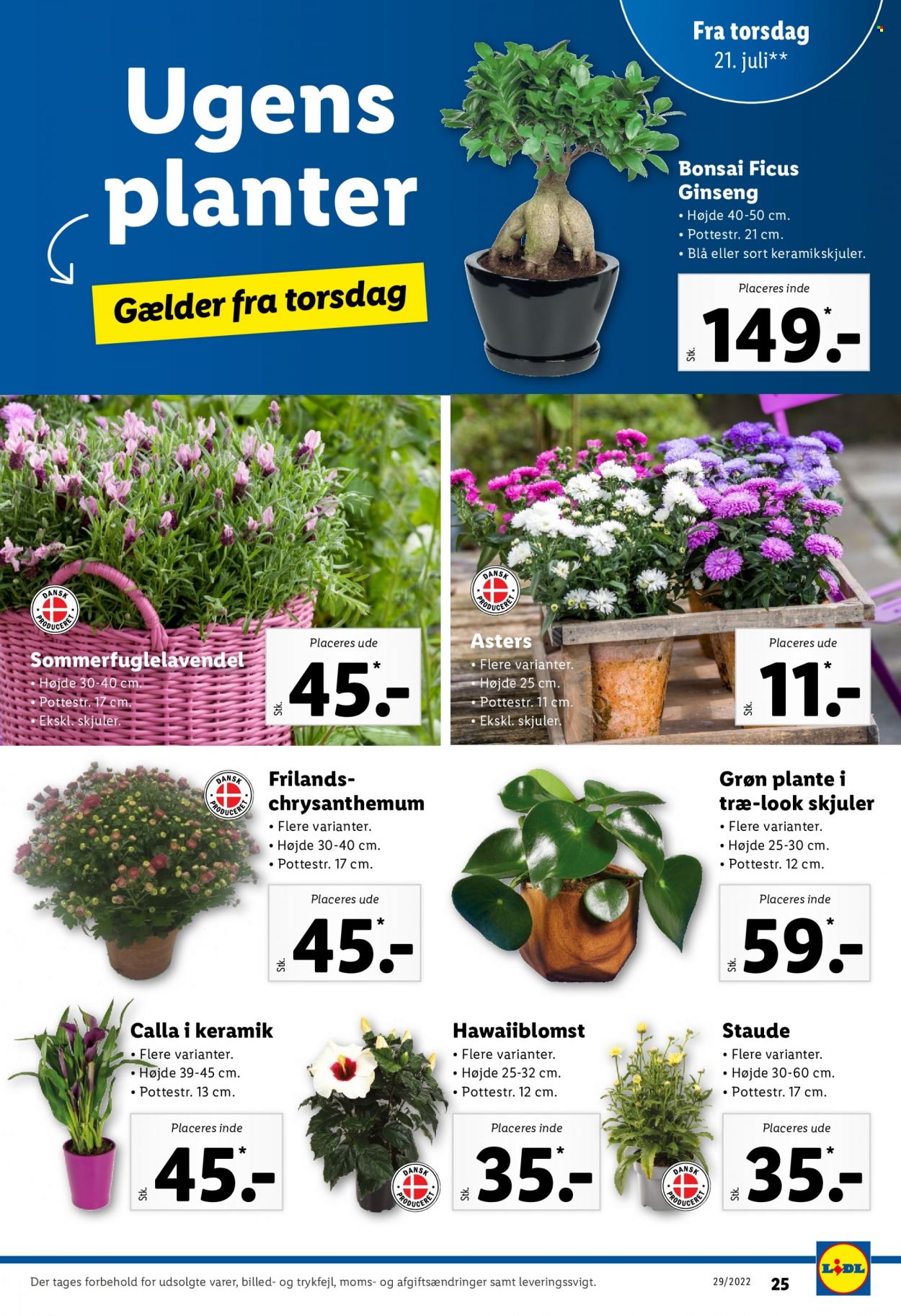 Lidl tilbud - 17.7.2022 - 23.7.2022. Side 29