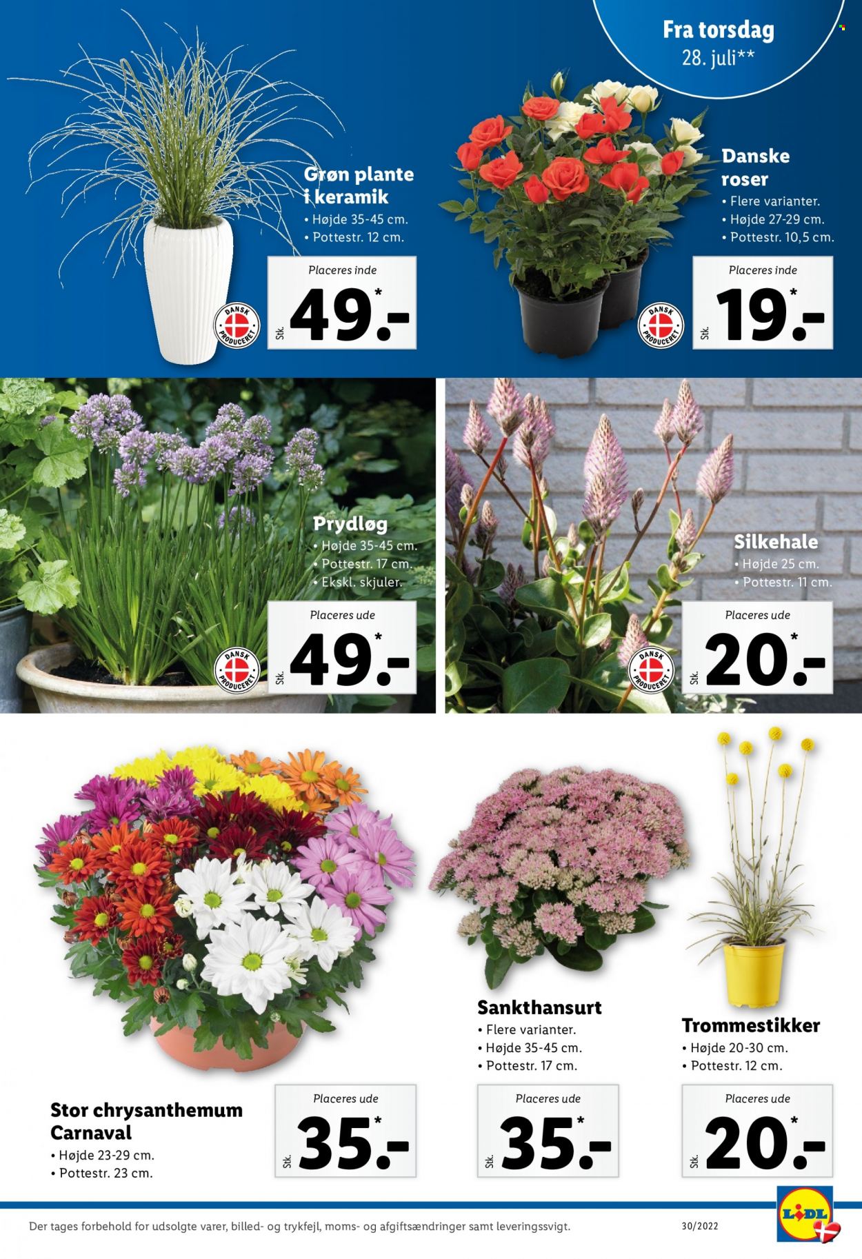 Lidl tilbud - 24.7.2022 - 30.7.2022. Side 31