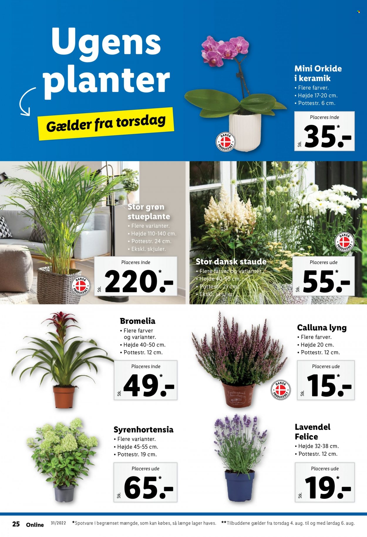 Lidl tilbud - 31.7.2022 - 6.8.2022. Side 30