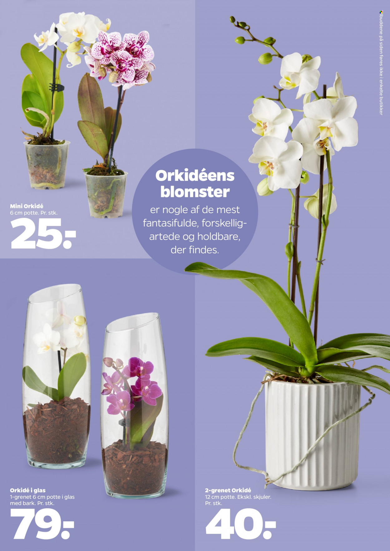 Netto tilbud - 6.8.2022 - 12.8.2022. Side 28