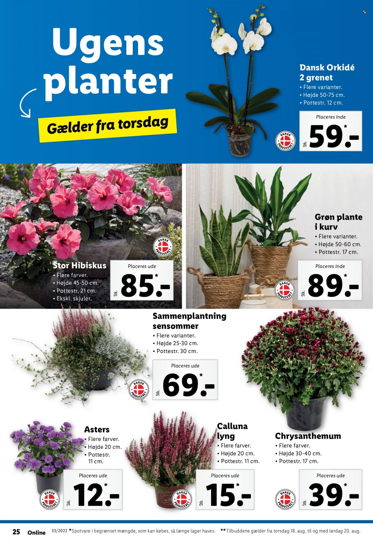 Lidl tilbud - 14.8.2022 - 20.8.2022. Side 30
