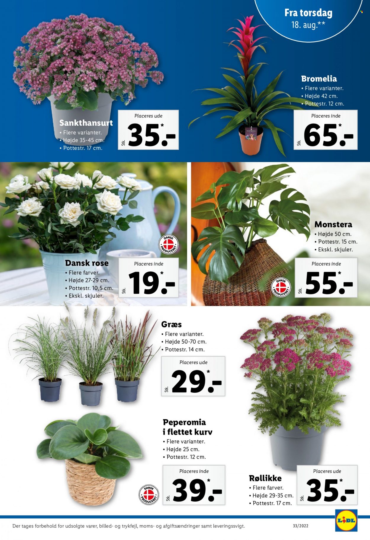 Lidl tilbud - 14.8.2022 - 20.8.2022. Side 31