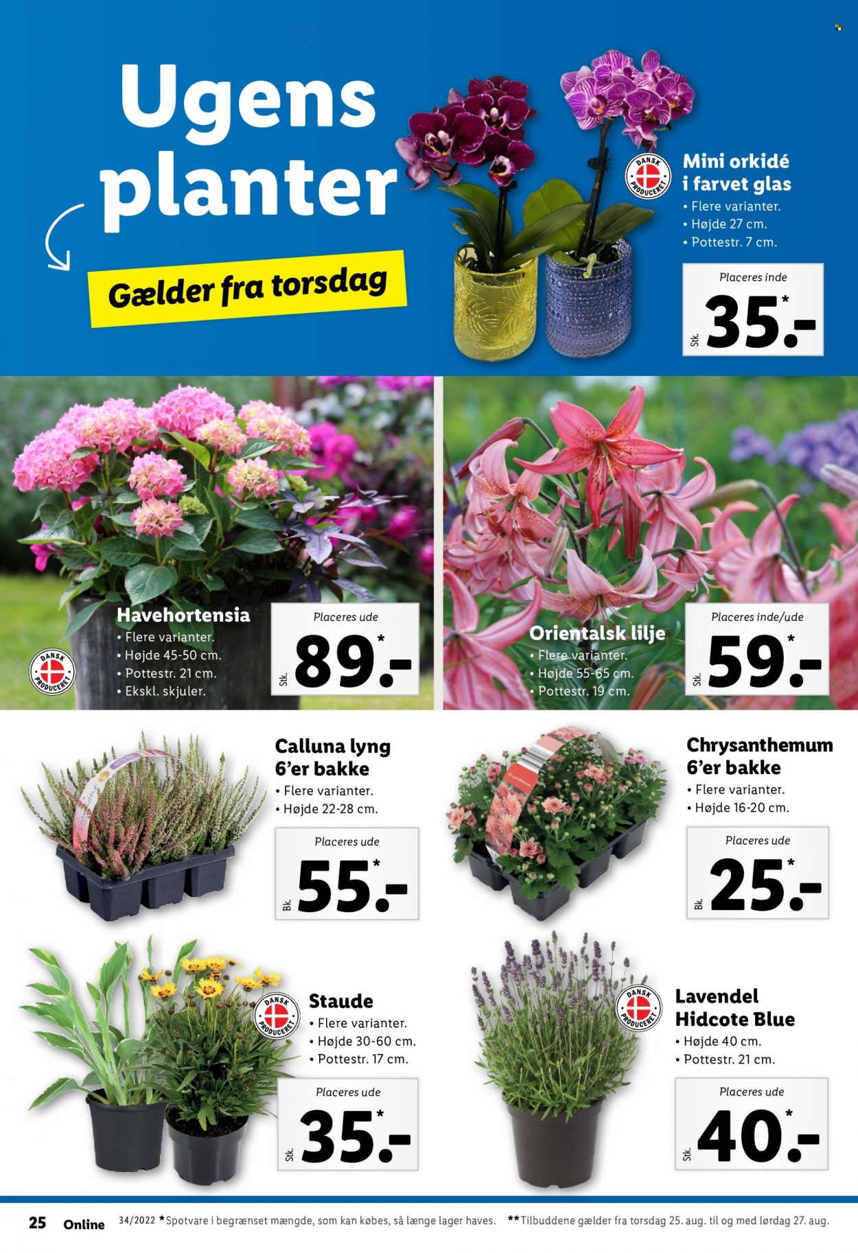 Lidl tilbud - 21.8.2022 - 27.8.2022. Side 30