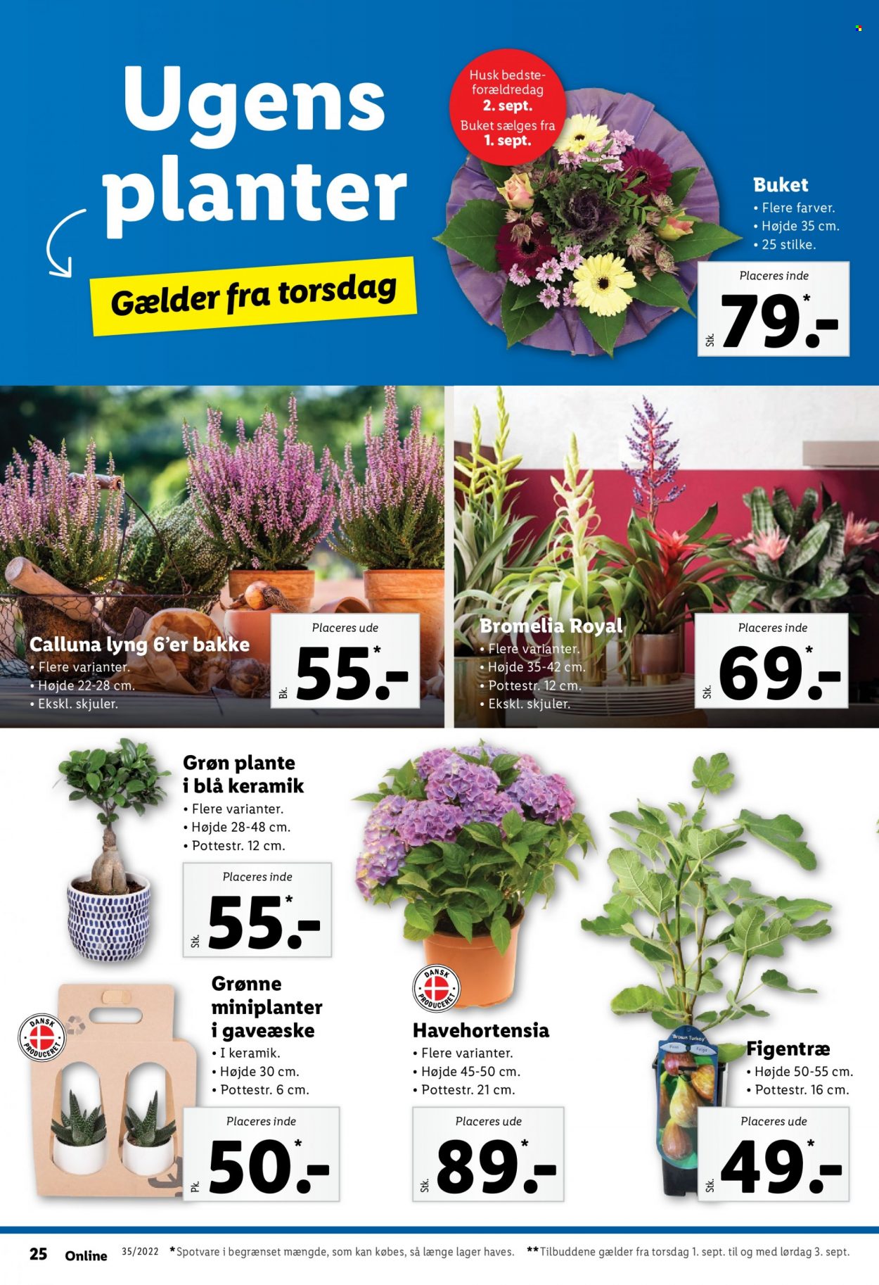 Lidl tilbud - 28.8.2022 - 3.9.2022. Side 34