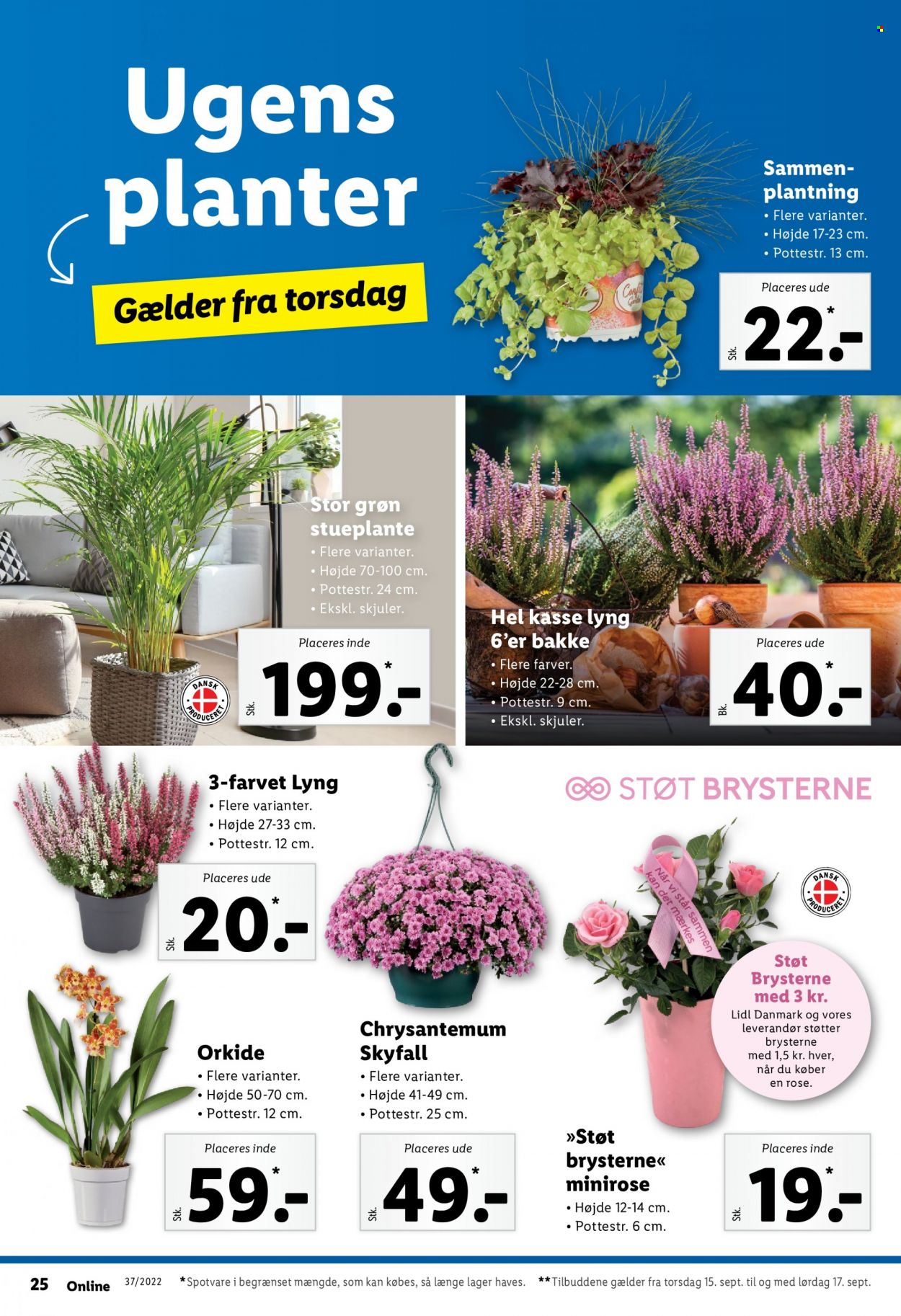 Lidl tilbud - 11.9.2022 - 17.9.2022. Side 34