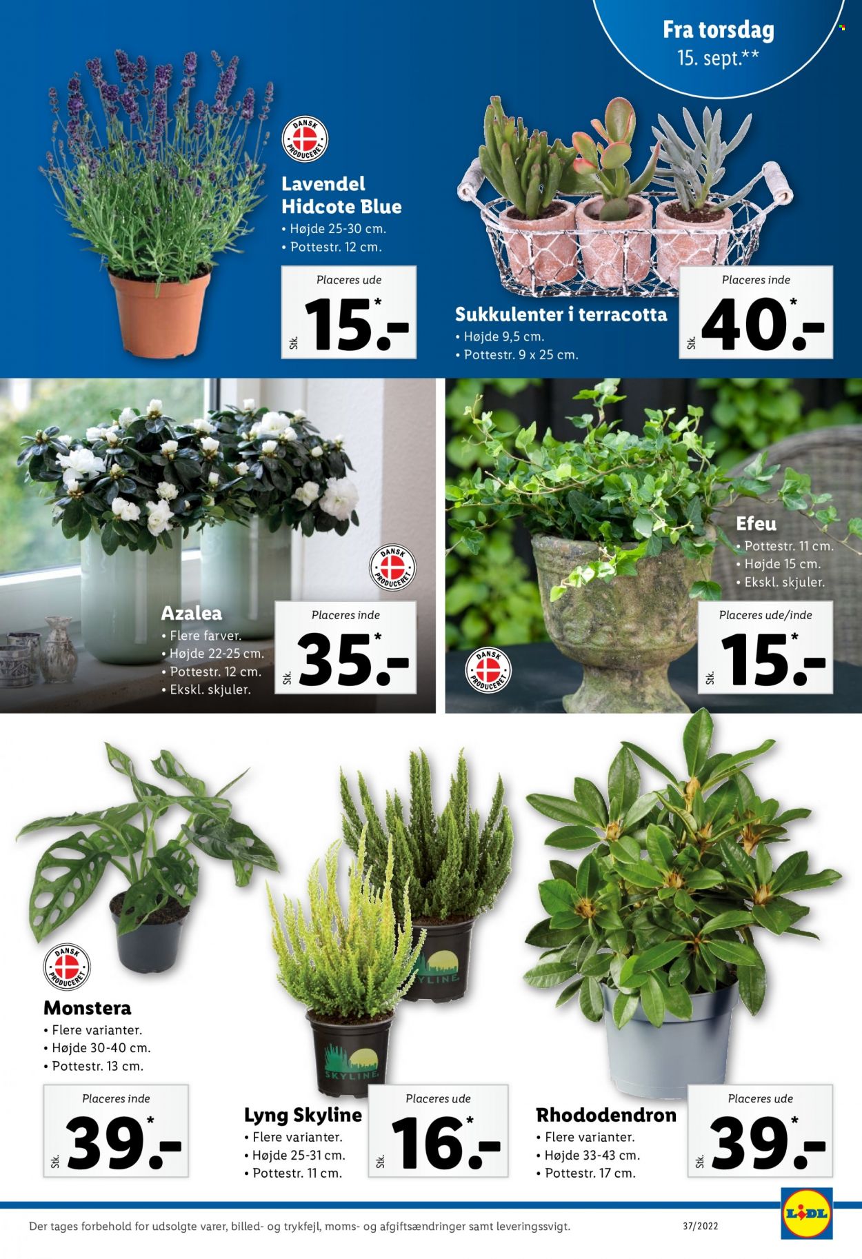 Lidl tilbud - 11.9.2022 - 17.9.2022. Side 35