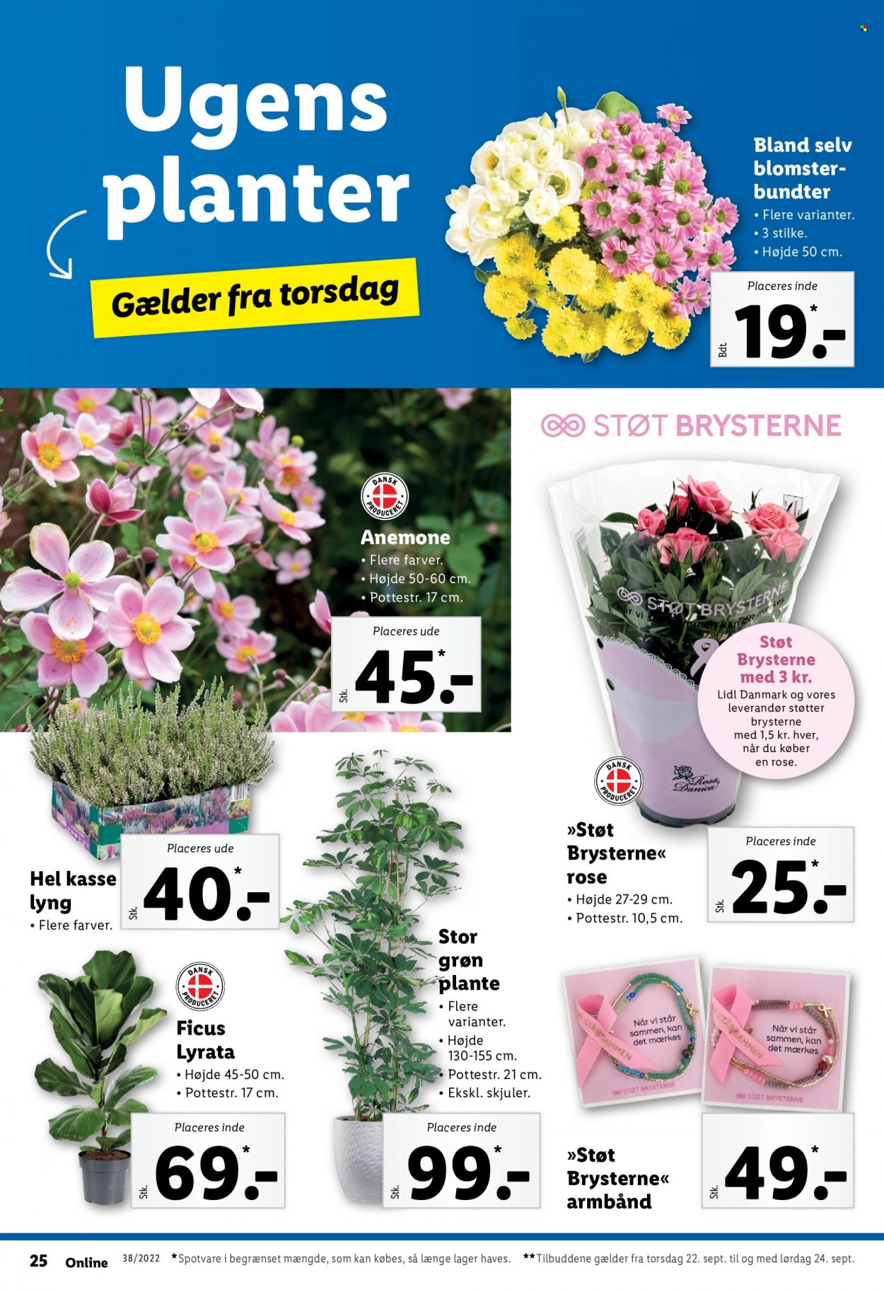 Lidl tilbud - 18.9.2022 - 24.9.2022. Side 32