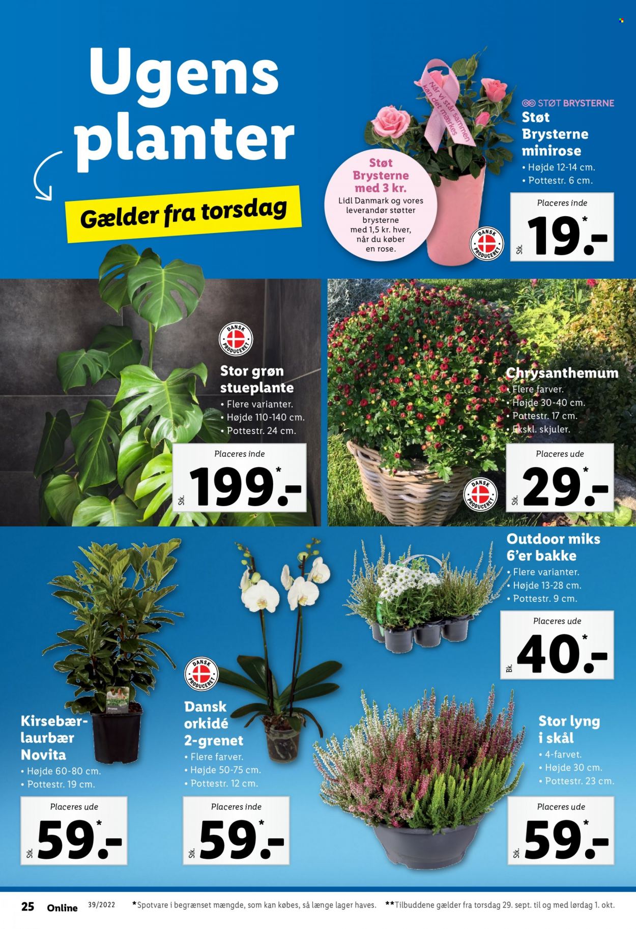 Lidl tilbud - 25.9.2022 - 1.10.2022. Side 32