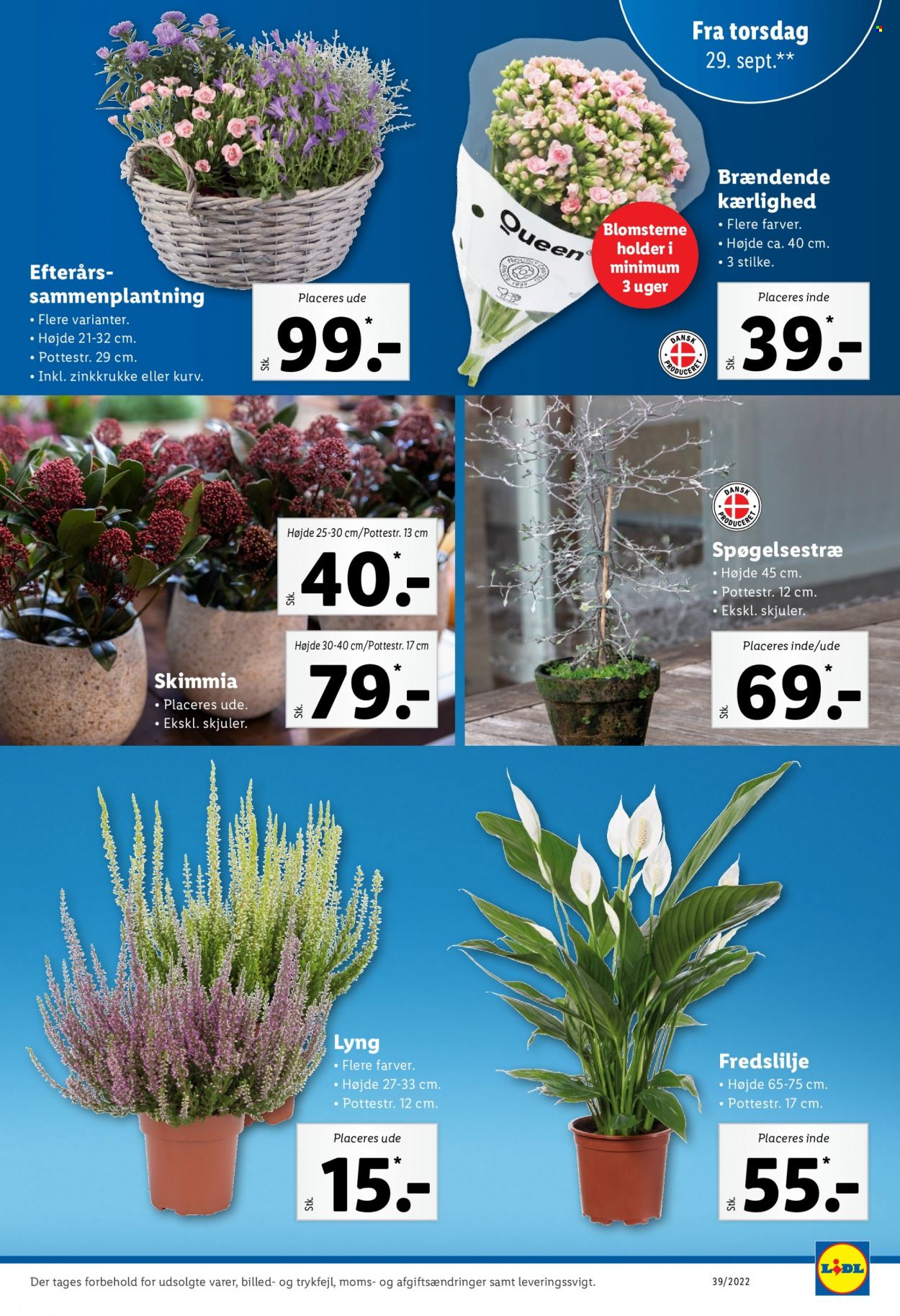 Lidl tilbud - 25.9.2022 - 1.10.2022. Side 33