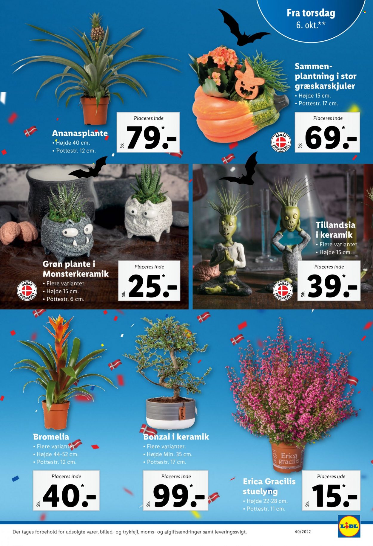 Lidl tilbud - 2.10.2022 - 8.10.2022. Side 31
