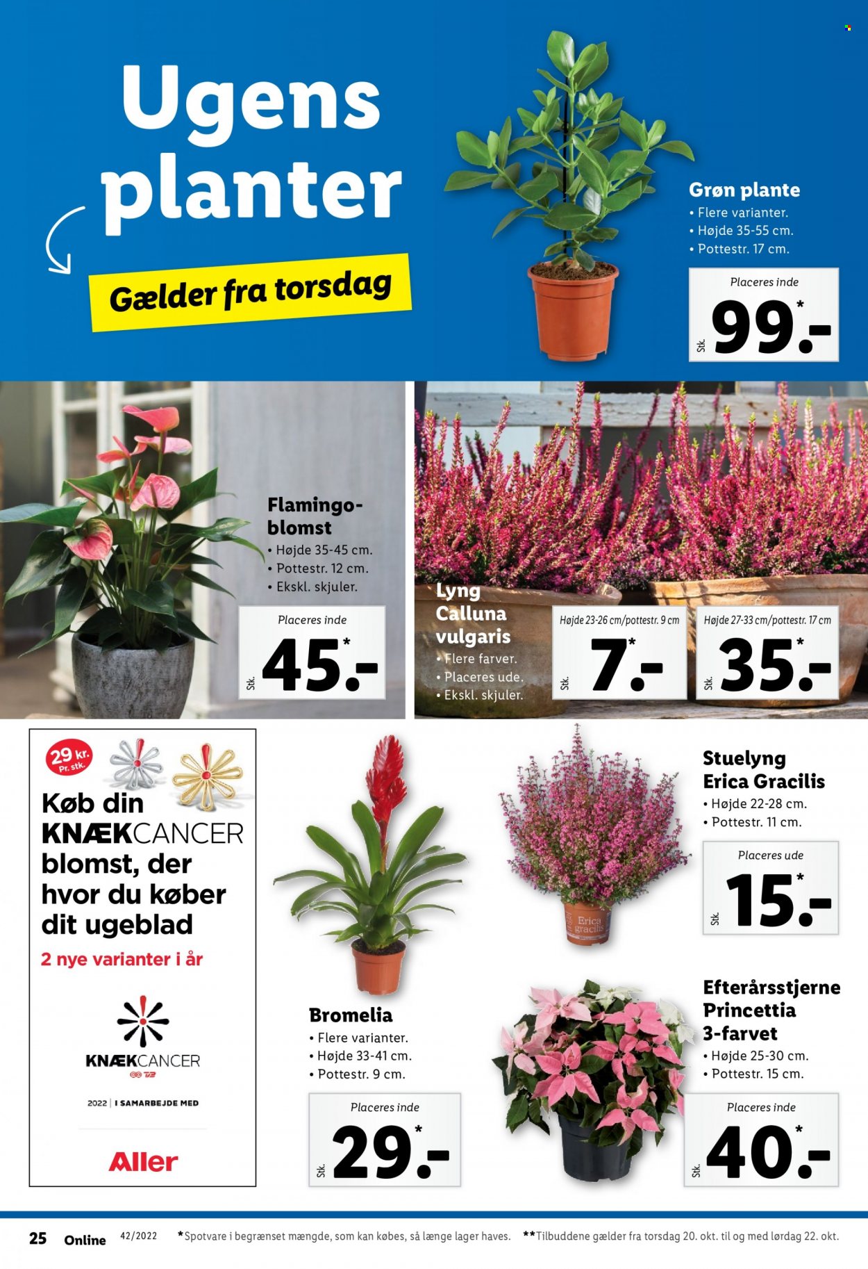 Lidl tilbud - 16.10.2022 - 22.10.2022. Side 28