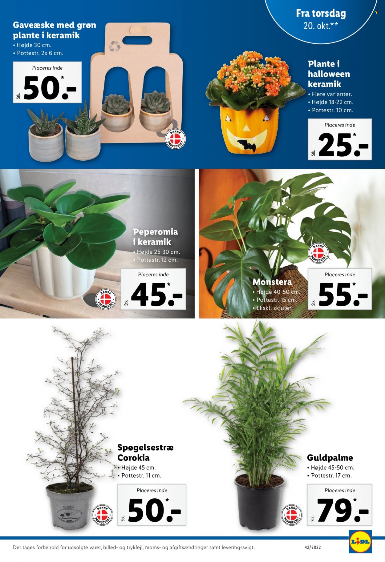 Lidl tilbud - 16.10.2022 - 22.10.2022. Side 29