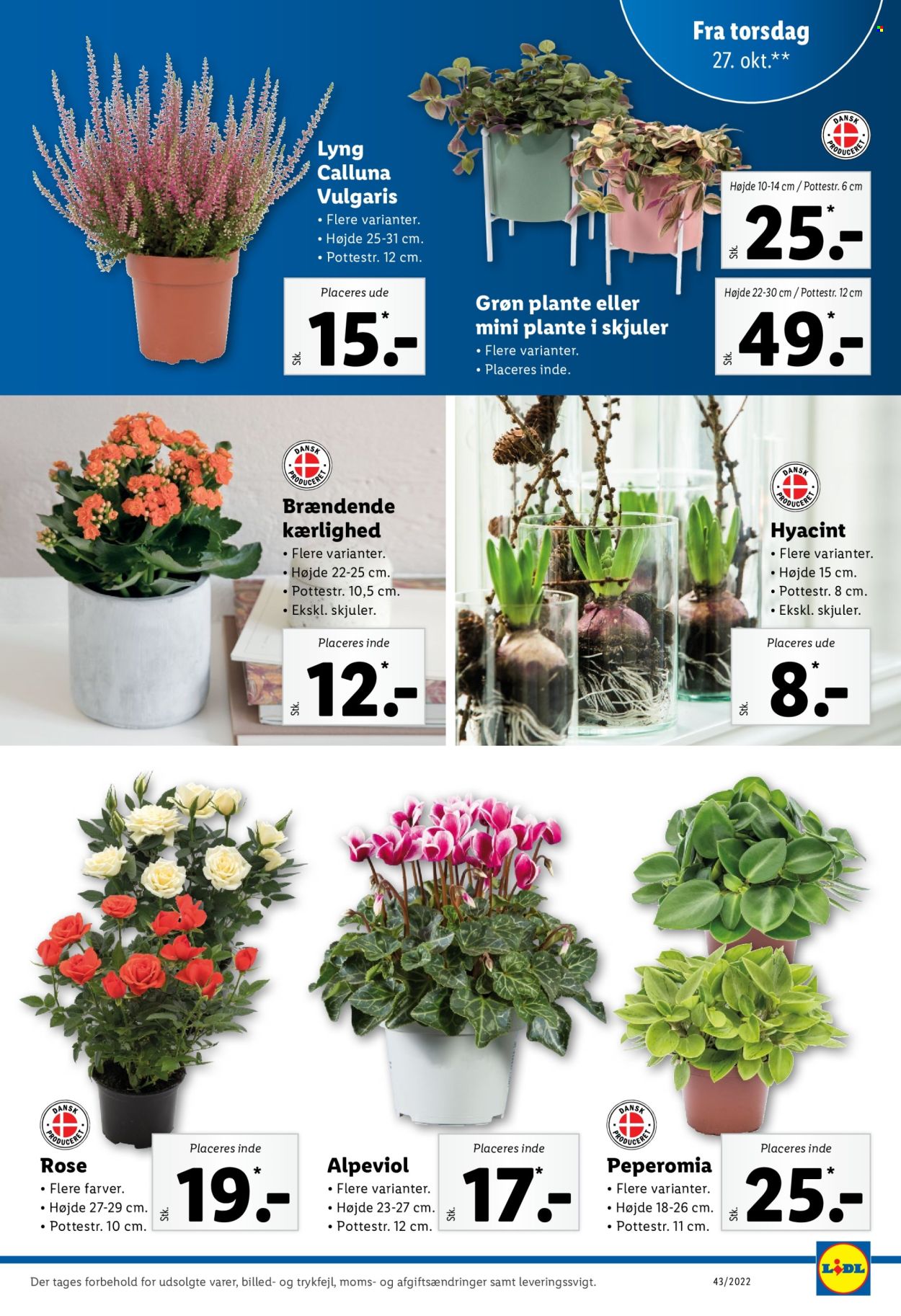 Lidl tilbud - 23.10.2022 - 29.10.2022. Side 31