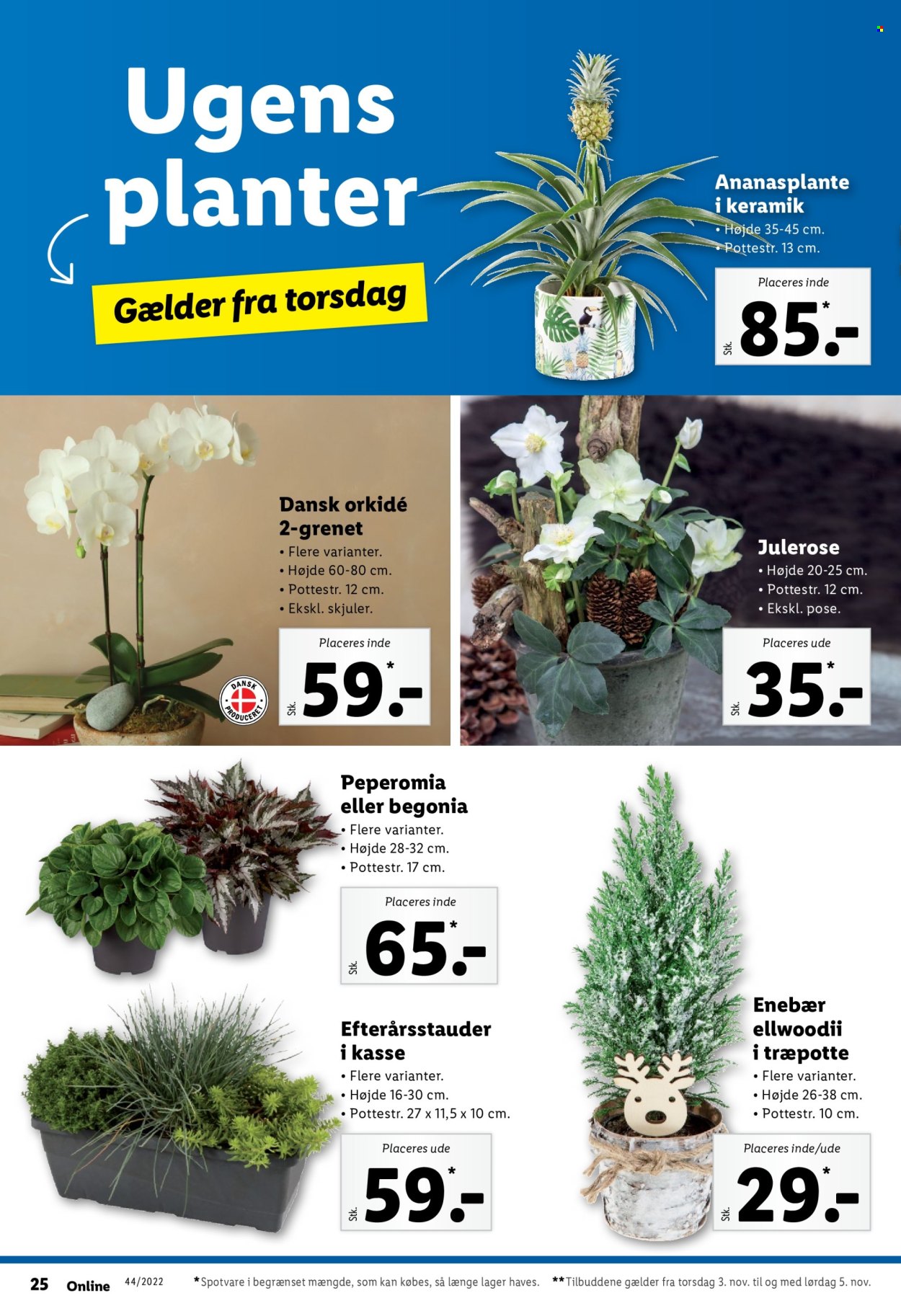 Lidl tilbud - 30.10.2022 - 5.11.2022. Side 28