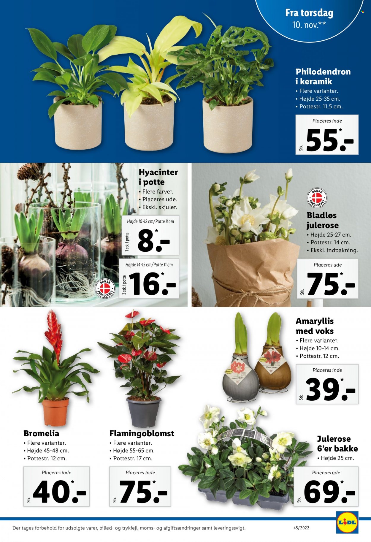 Lidl tilbud - 6.11.2022 - 12.11.2022. Side 29