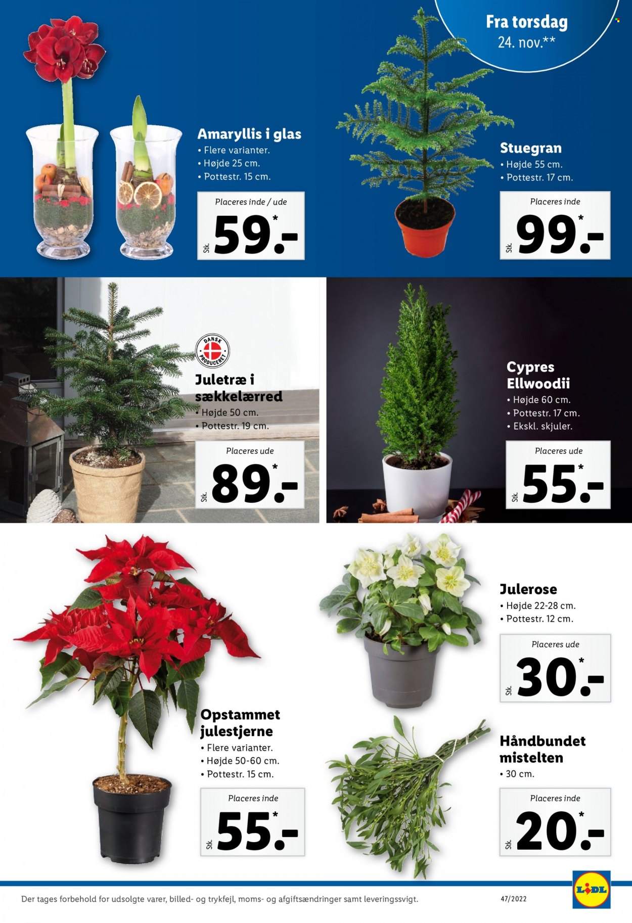 Lidl tilbud - 20.11.2022 - 26.11.2022. Side 25
