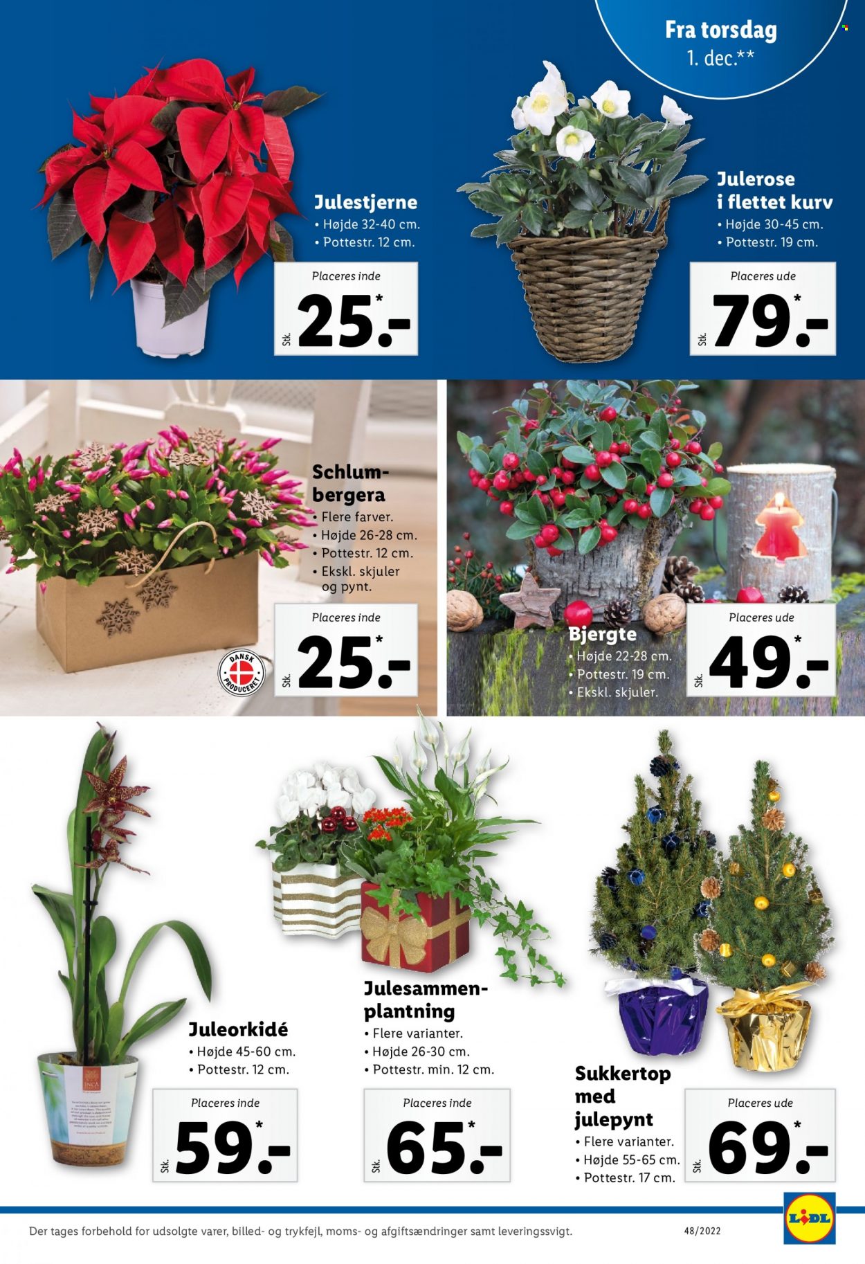 Lidl tilbud - 27.11.2022 - 3.12.2022. Side 31