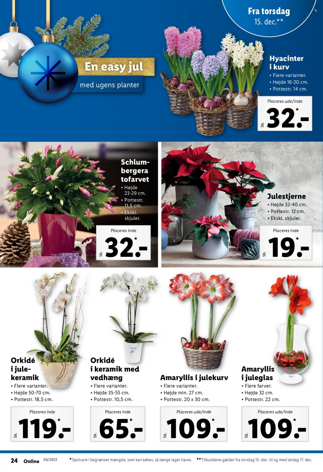 Lidl tilbud - 11.12.2022 - 17.12.2022. Side 28