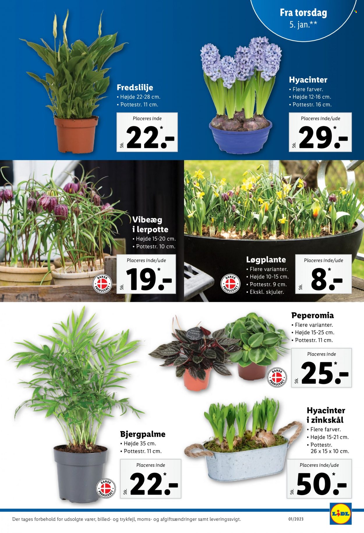 Lidl tilbud - 2.1.2023 - 7.1.2023. Side 31