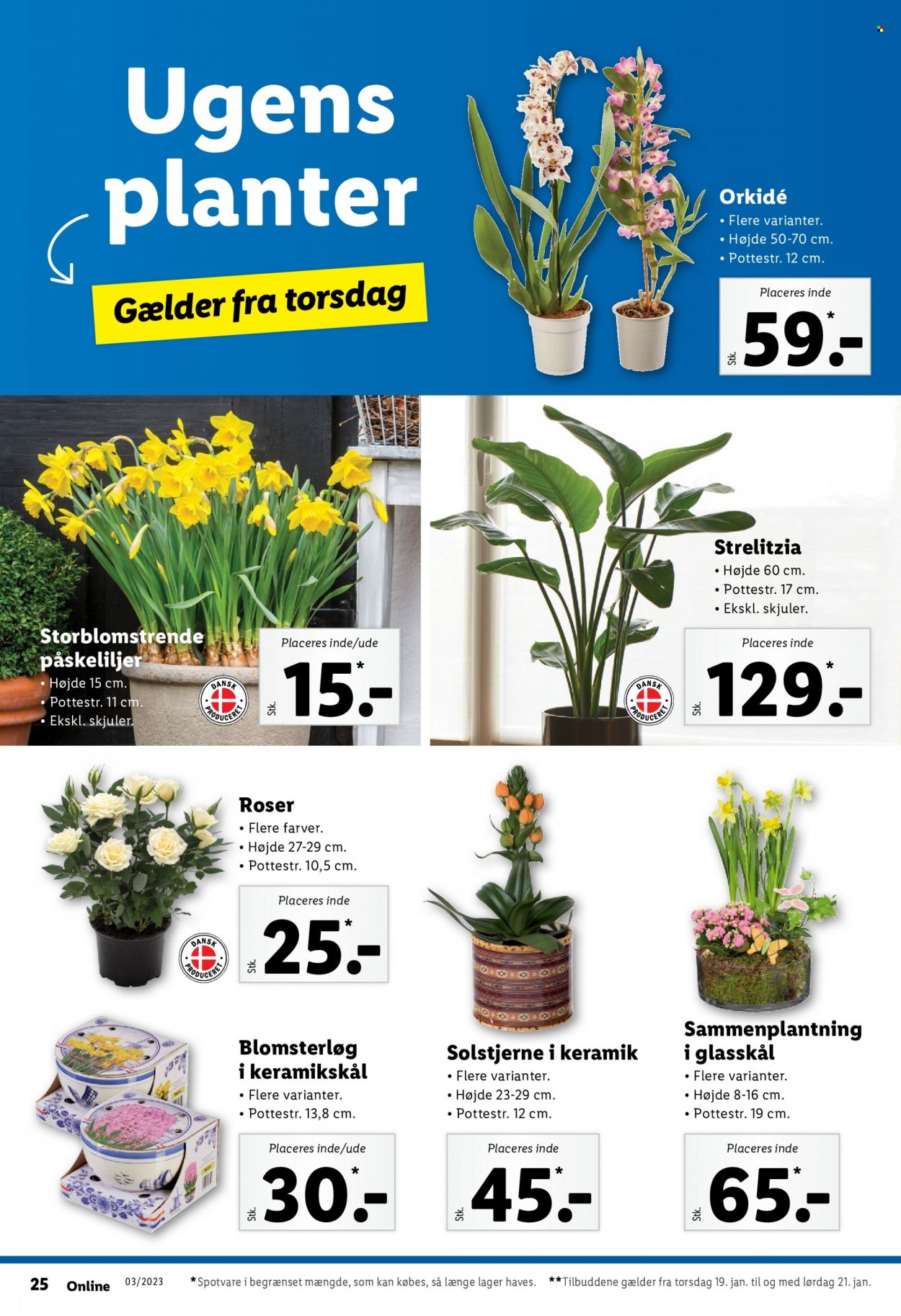 Lidl tilbud - 15.1.2023 - 21.1.2023. Side 32