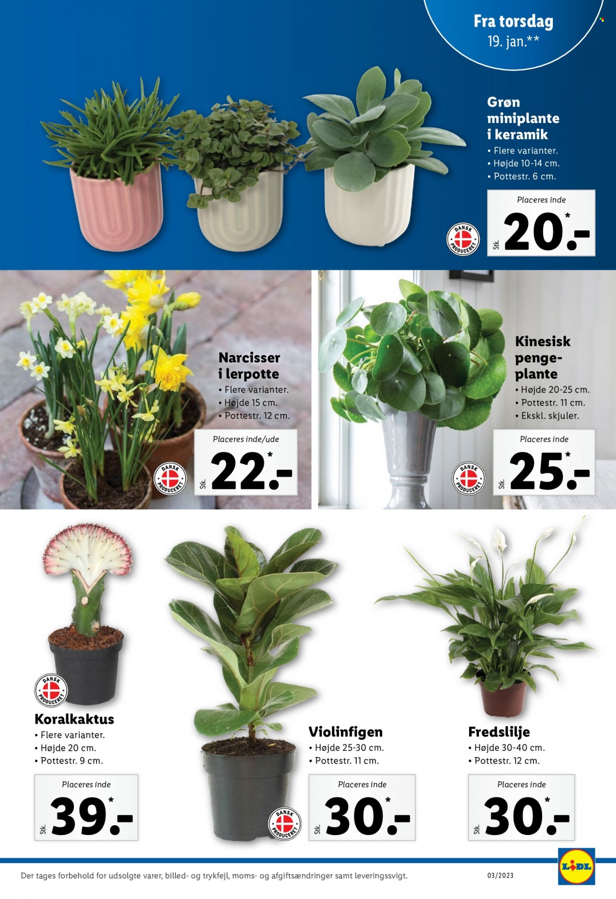 Lidl tilbud - 15.1.2023 - 21.1.2023. Side 33